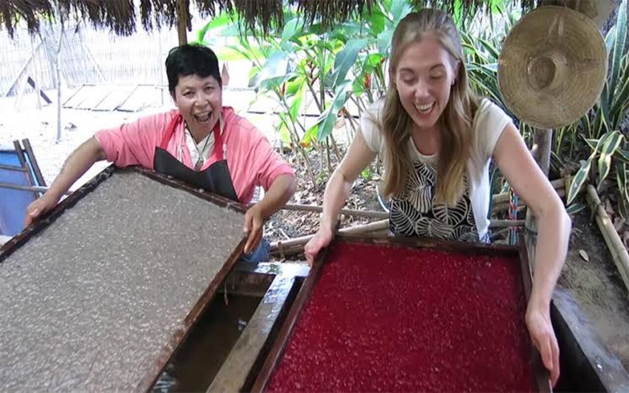 Jaipur: Elephant Poo Paper-Making Workshop with Tour Guide