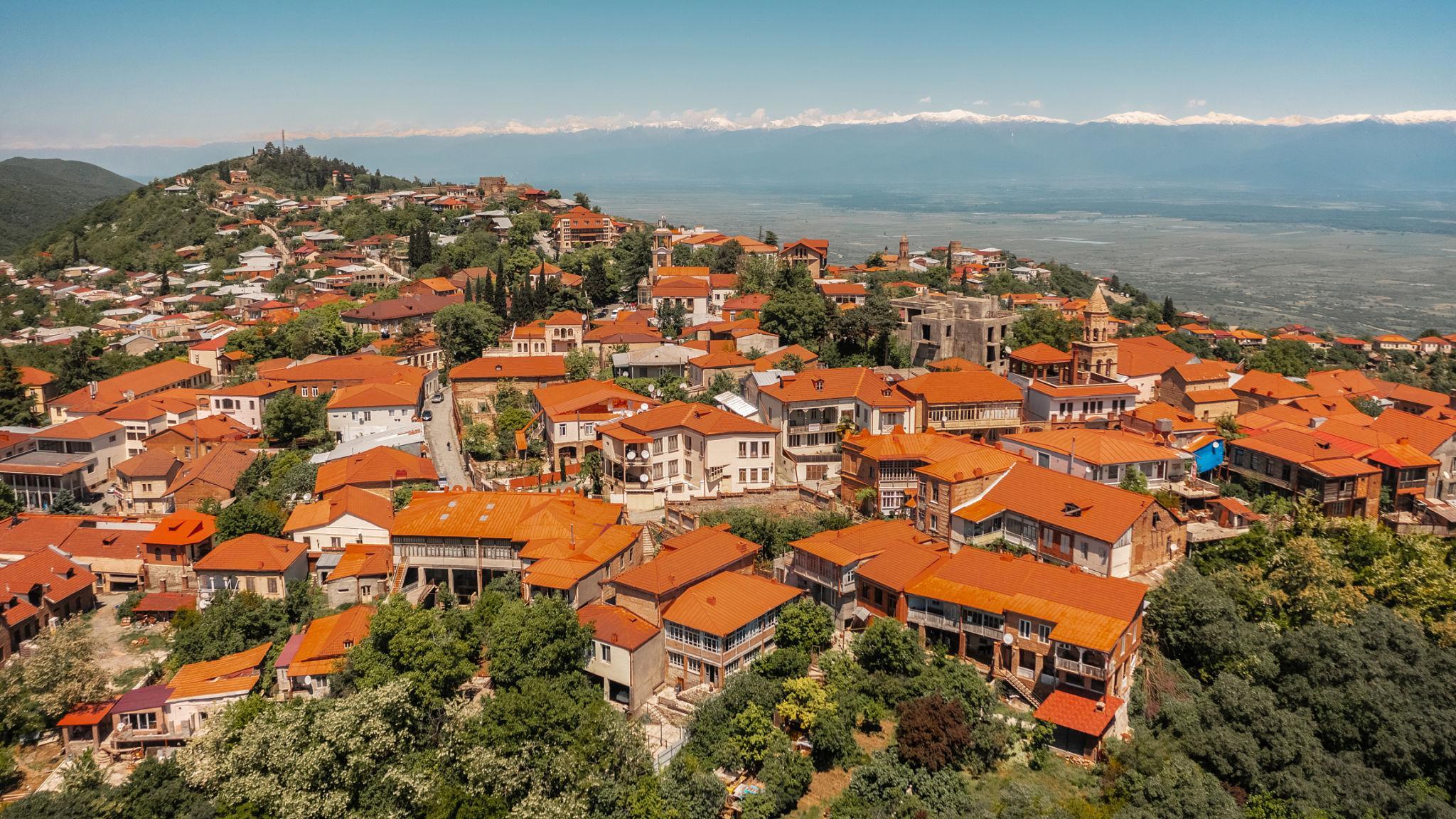 From Tbilisi: Kakheti Private Tour with Wine Tasting & Lunch
