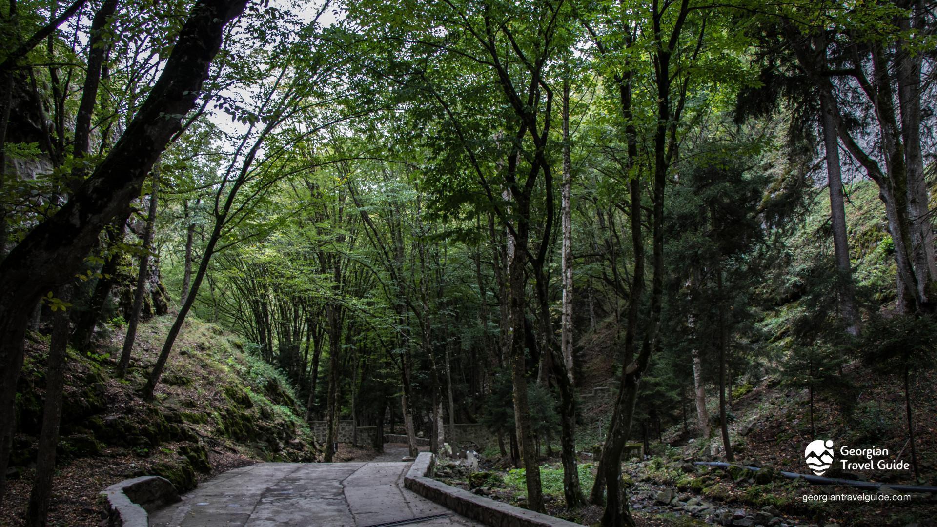 From Tbilisi: Uplistsikhe, Borjomi Gorge & Sulfur Baths Tour 3