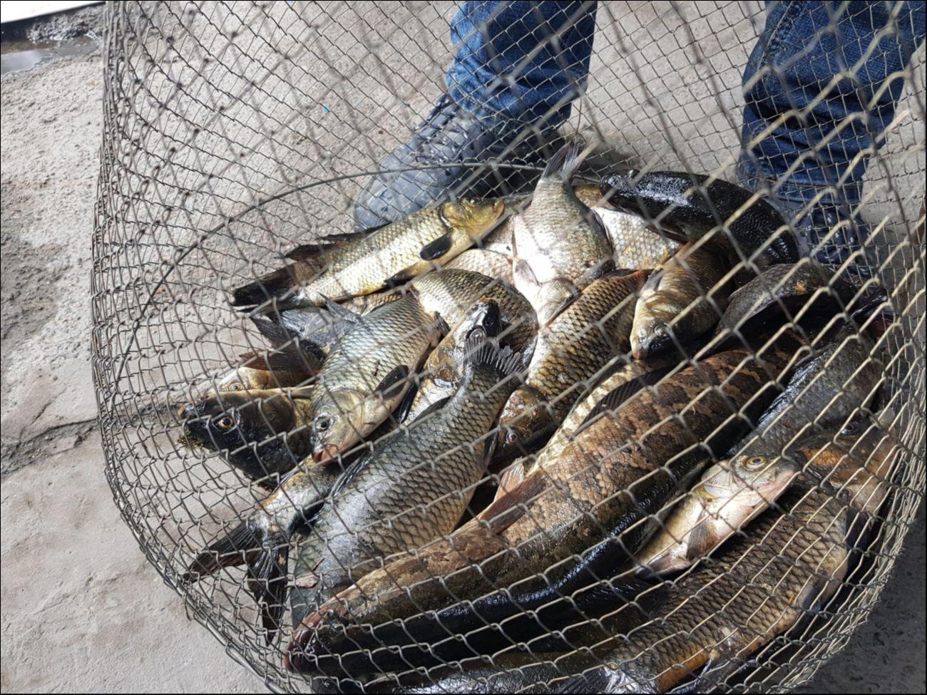 Almaty: 2-Day Private Fishing and Camping Tour 2