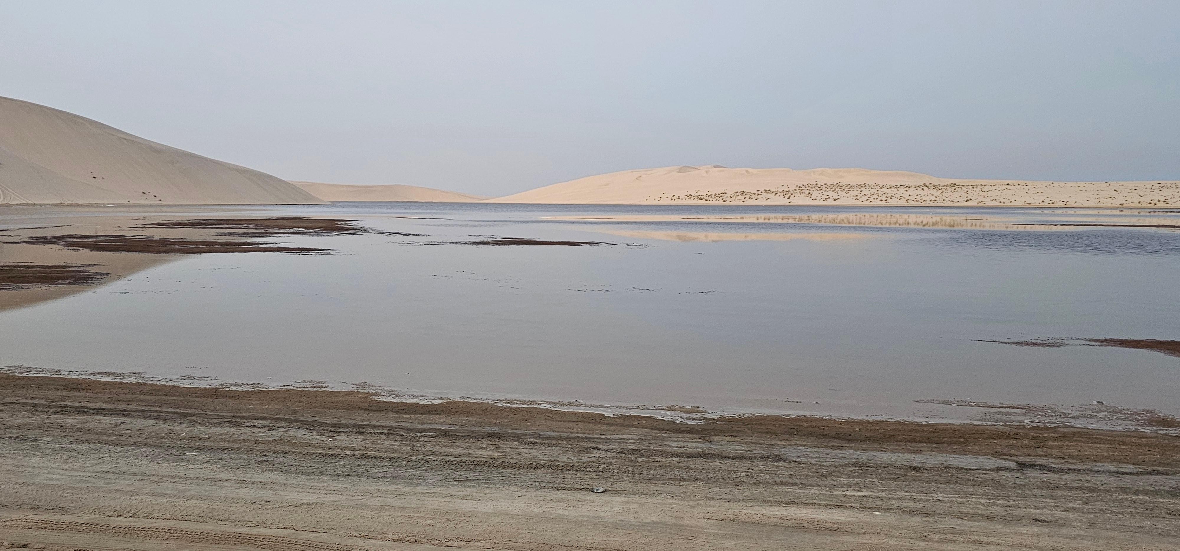 Doha: ATV Quad or Buggy, Dune Bashing, Camel Ride & Sandboarding 2