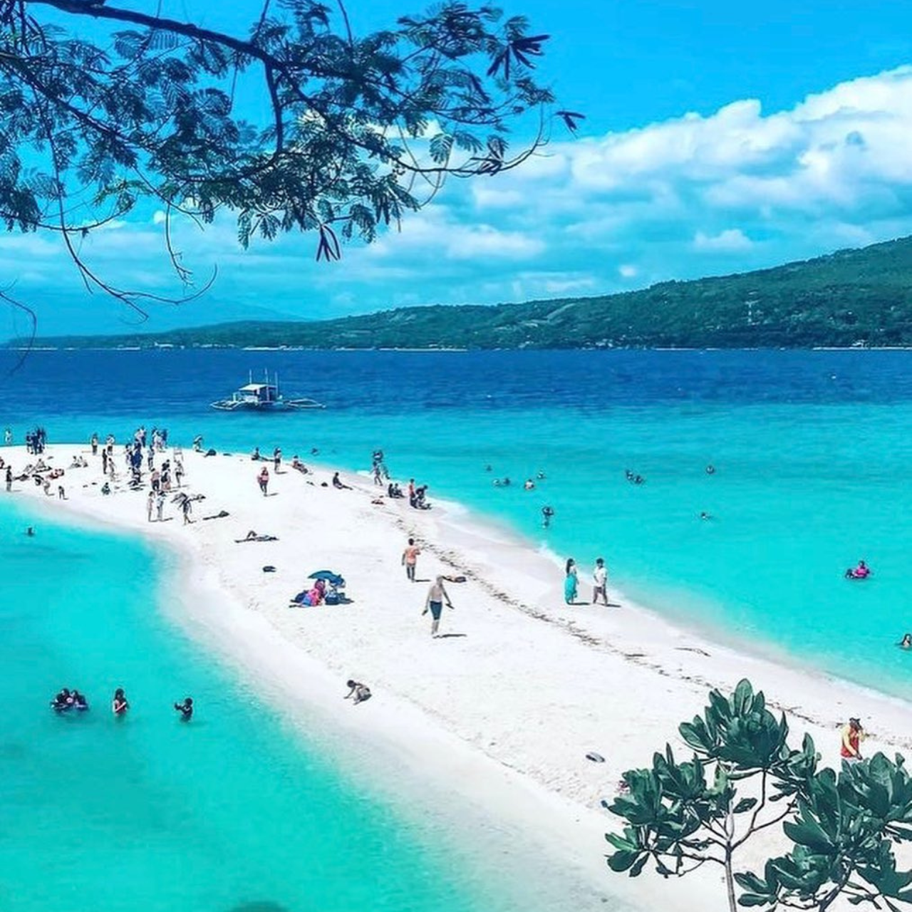 Cebu: Whale Shark Swim, Tumalog Falls & Sumilon Sandbar Tour 3