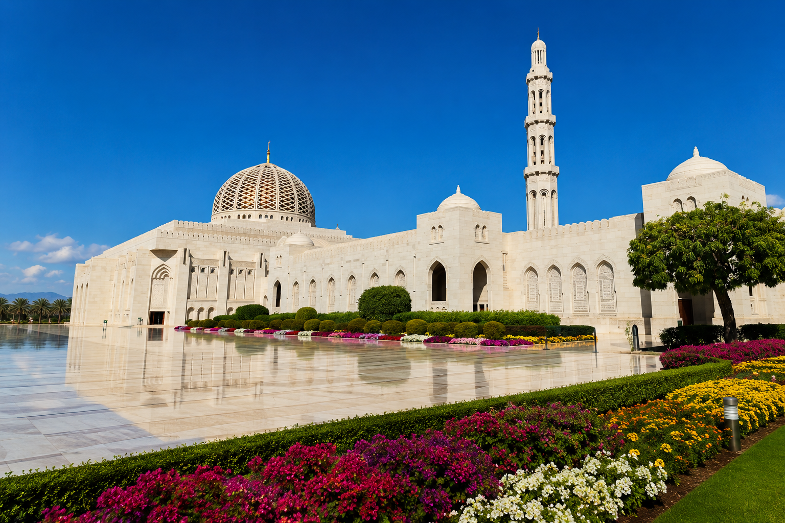 Muscat: Jebel Hatt Overnight Camping Tour with Meals
