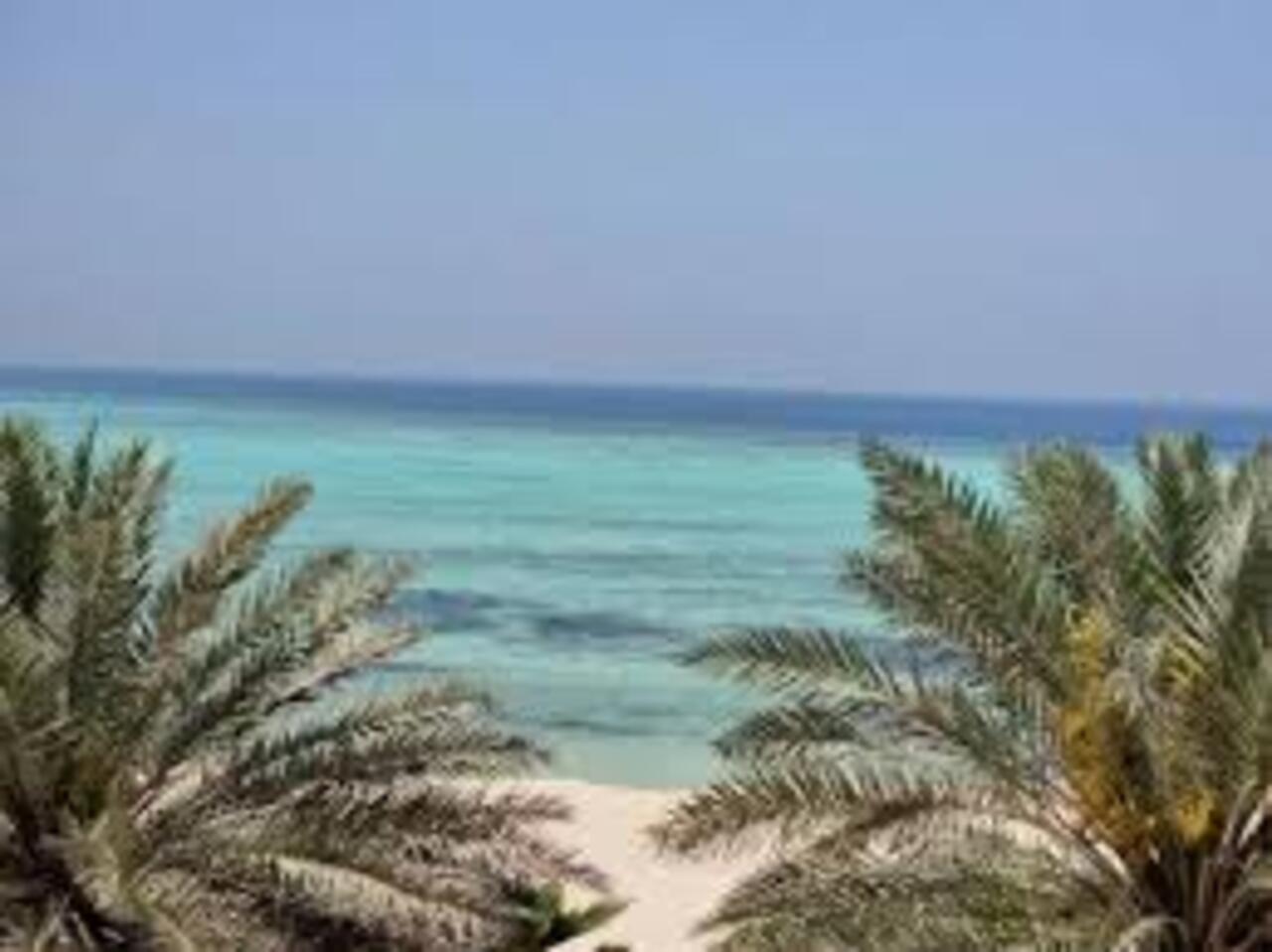 From Jeddah: King Abdullah Economic City Day Trip 3