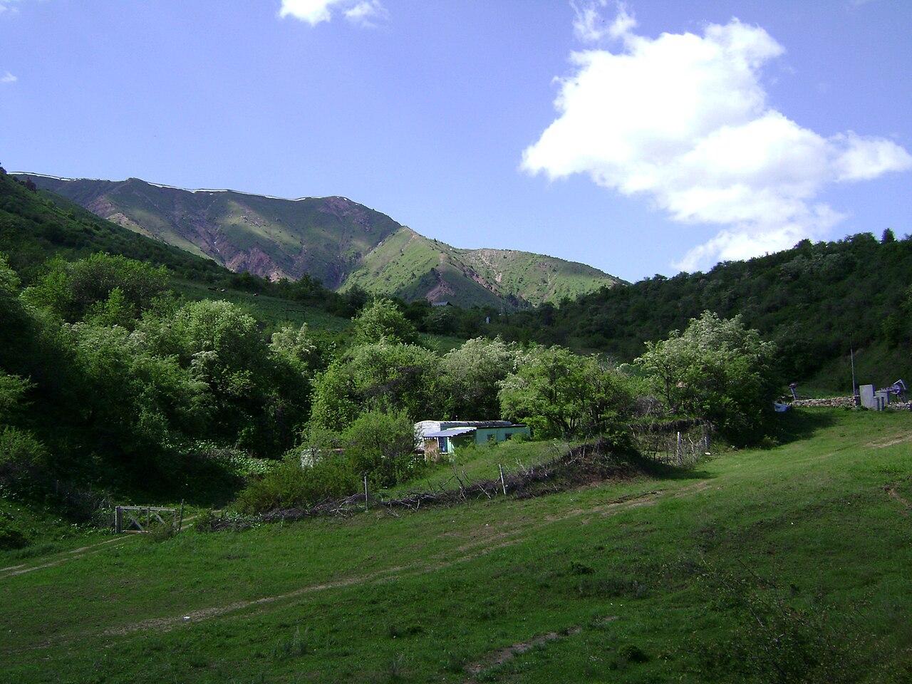 From Tashkent: Beldersay Mountain Hike with Picnic