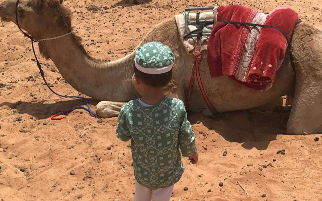 Muscat: Visit Wadi Bani Khalid Drop off Thousand Night Camp 3