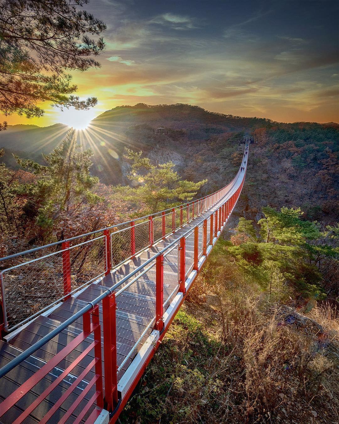 Seoul: DMZ Private Tour, 3rd Tunnel, and Suspension Bridge 3