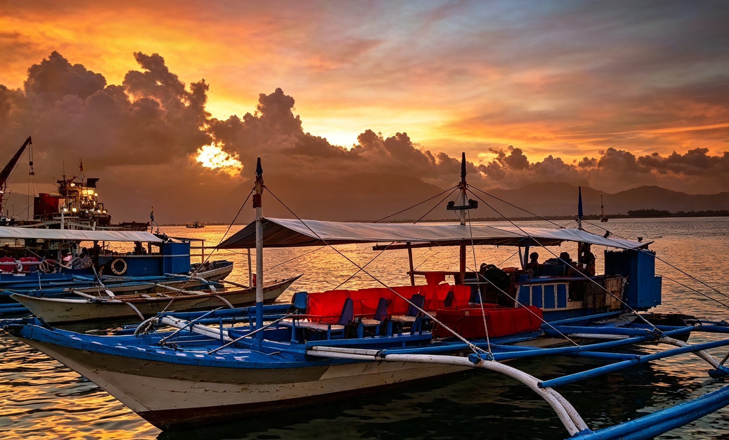 Puerto Princesa Firefly Watching: Evening Tour with Dinner 2