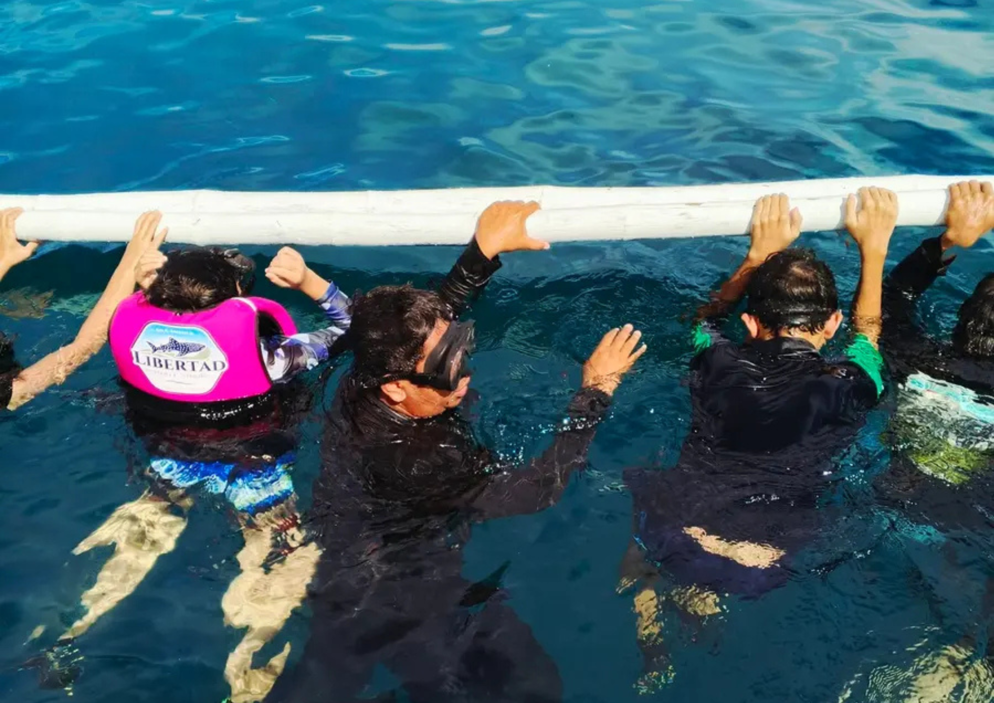 Boracay: Premium Whale Shark Tour with Free Underwater Media 3