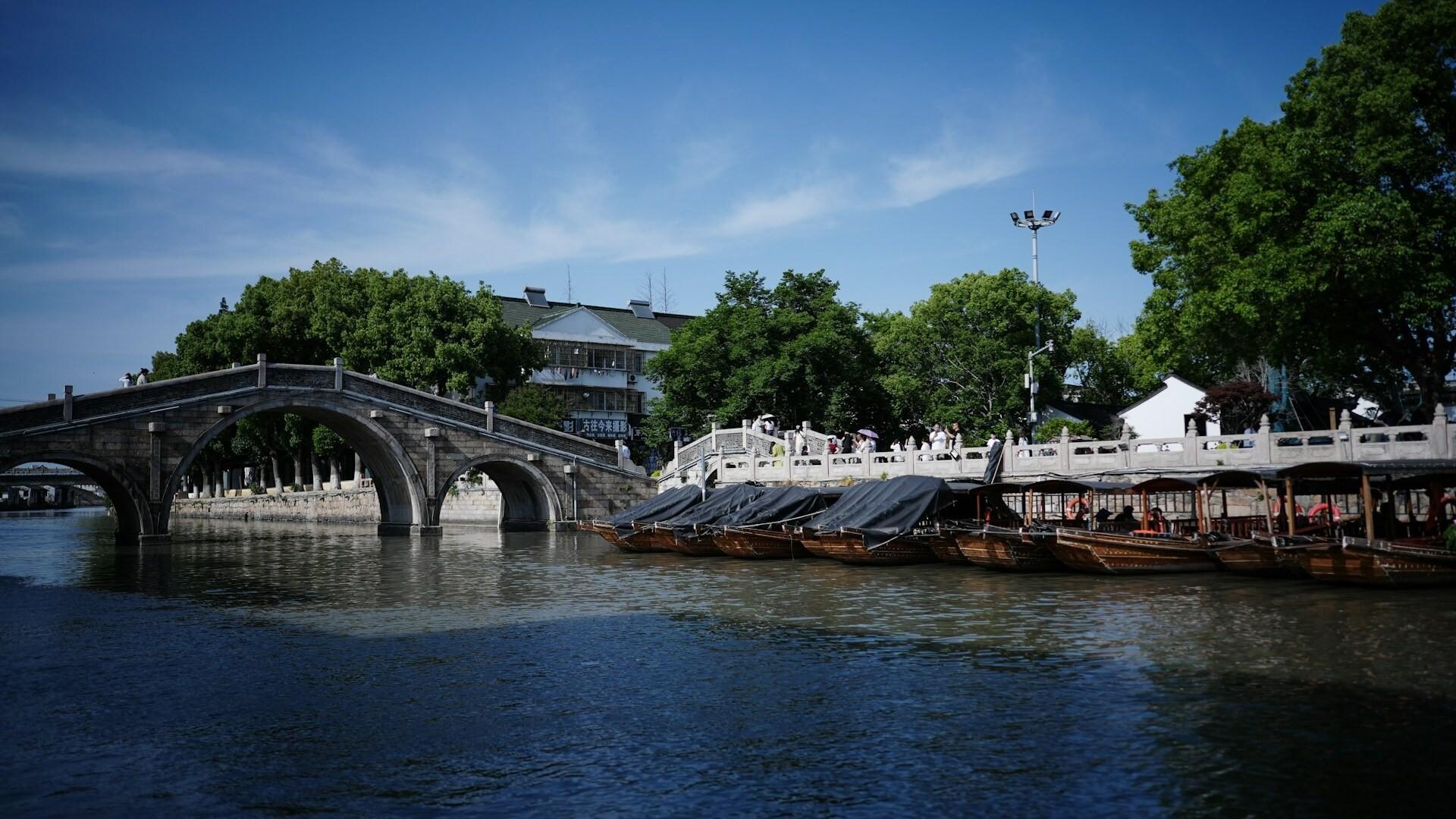Shanghai: Tongli Water Town Evening Private Day Trip