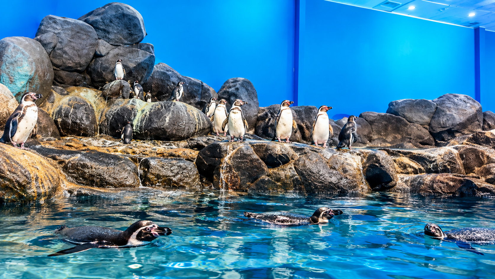 Langkawi: Private City Highlights & Underwater World Tour 2