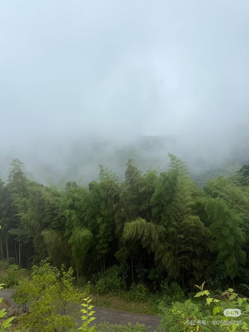 Shanghai: Fengmingshan Immortal Valley Private Day Trip 2