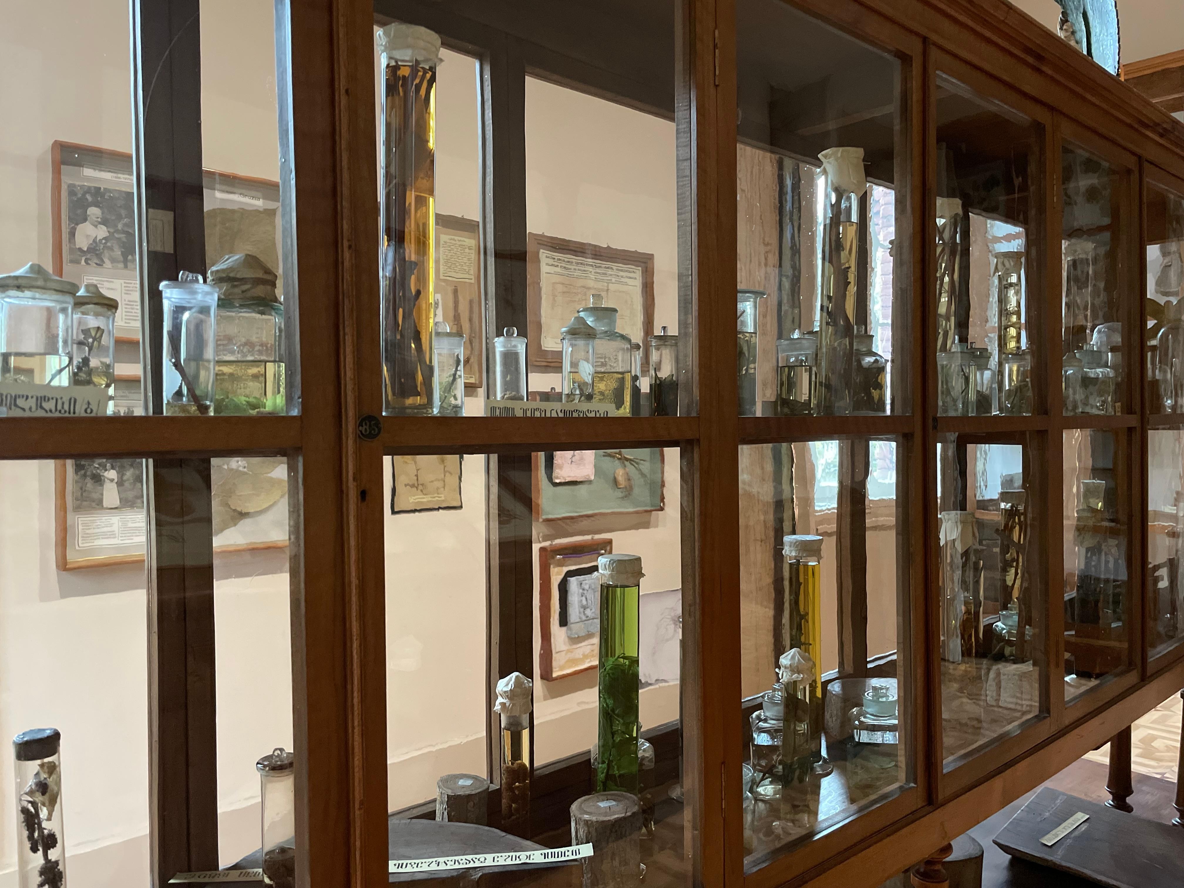 Tbilisi: Silk Road History and Silk Museum Tour 3