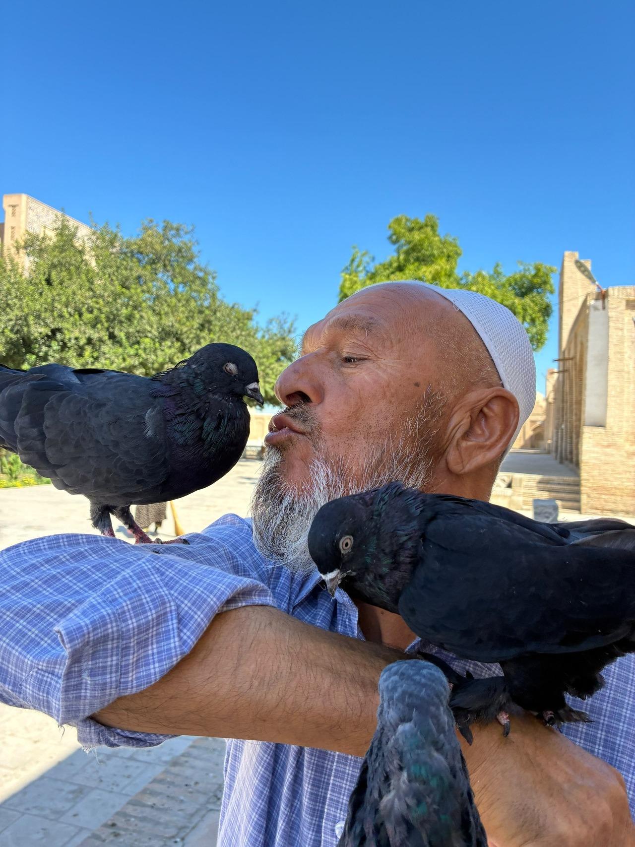Autumn Special Evening Walk❗️ A Full Chapter To Old Bukhara 3
