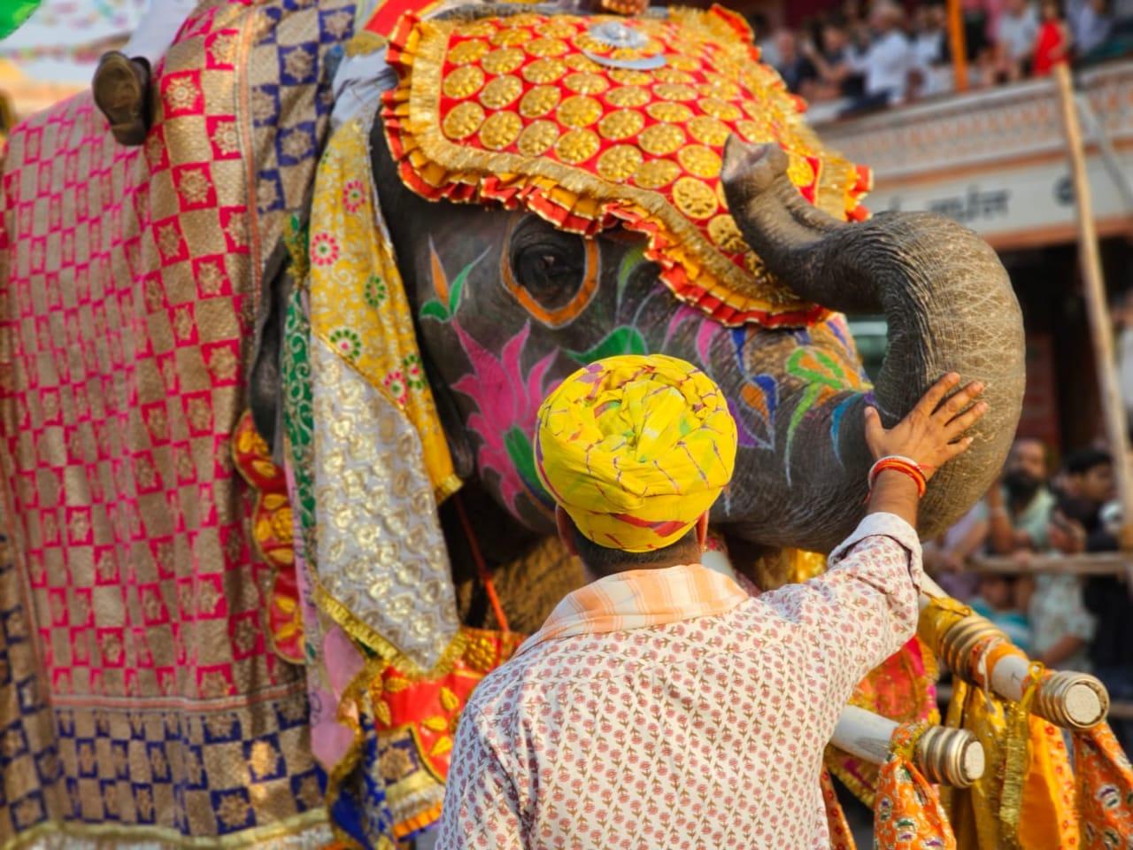 From Jaipur : Morning Sunrise with Jaipur Flower Market Tour 3