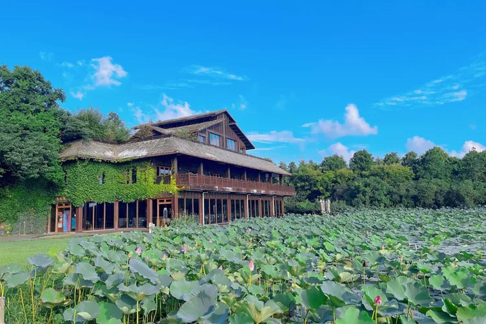 Shanghai Chongming Island Nature & Local Life Day Trip