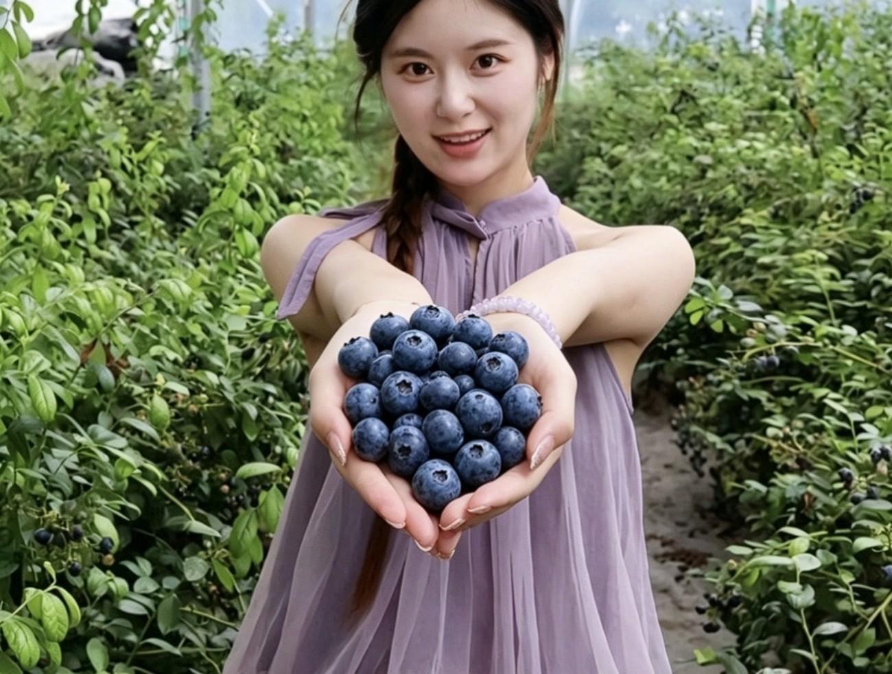 Shanghai:Haining Blueberry Picking & Water Town Private Trip 3