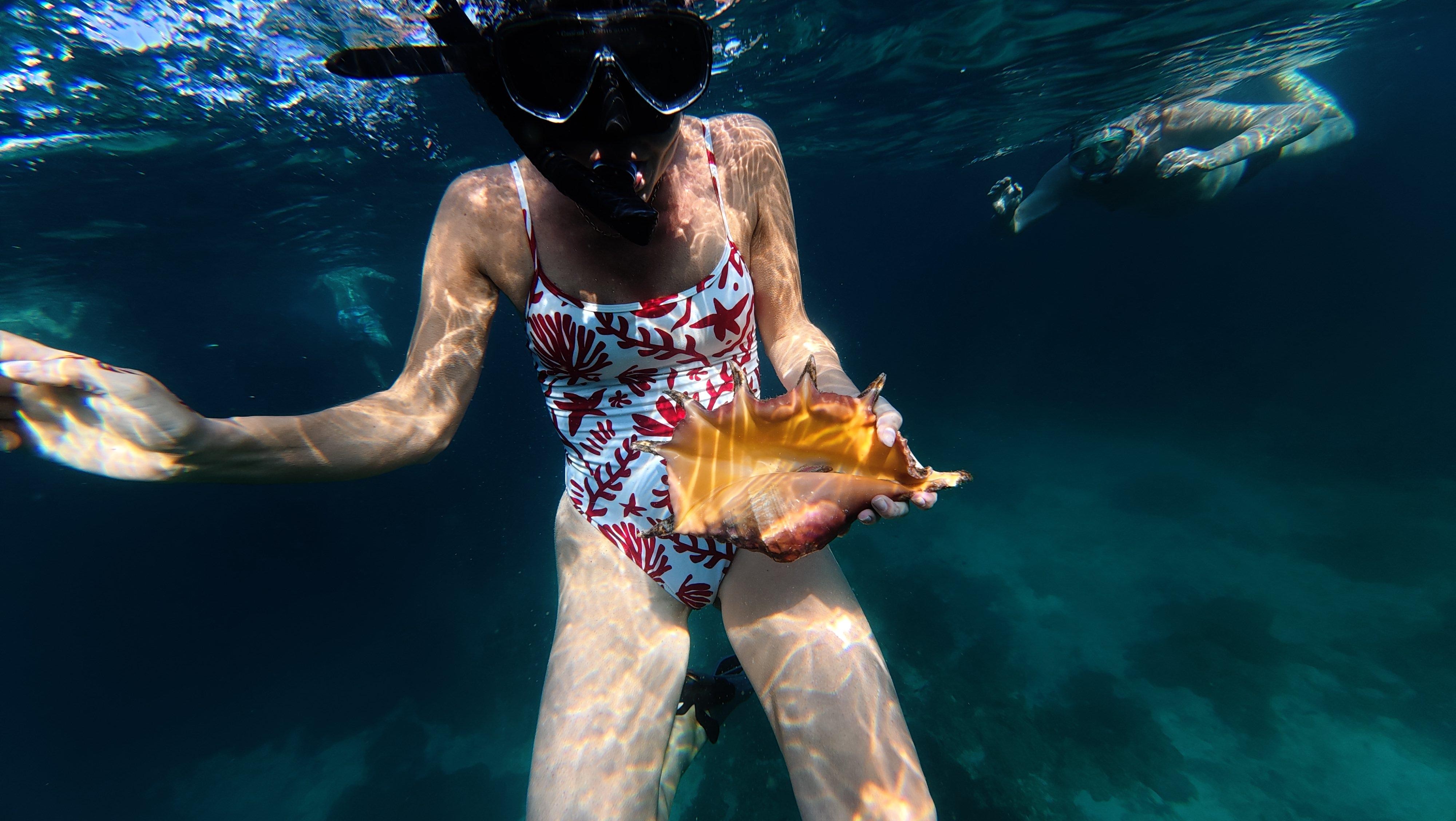 Muscat: Dolphin Watching and Snorkeling Boat Trip with Lunch 2