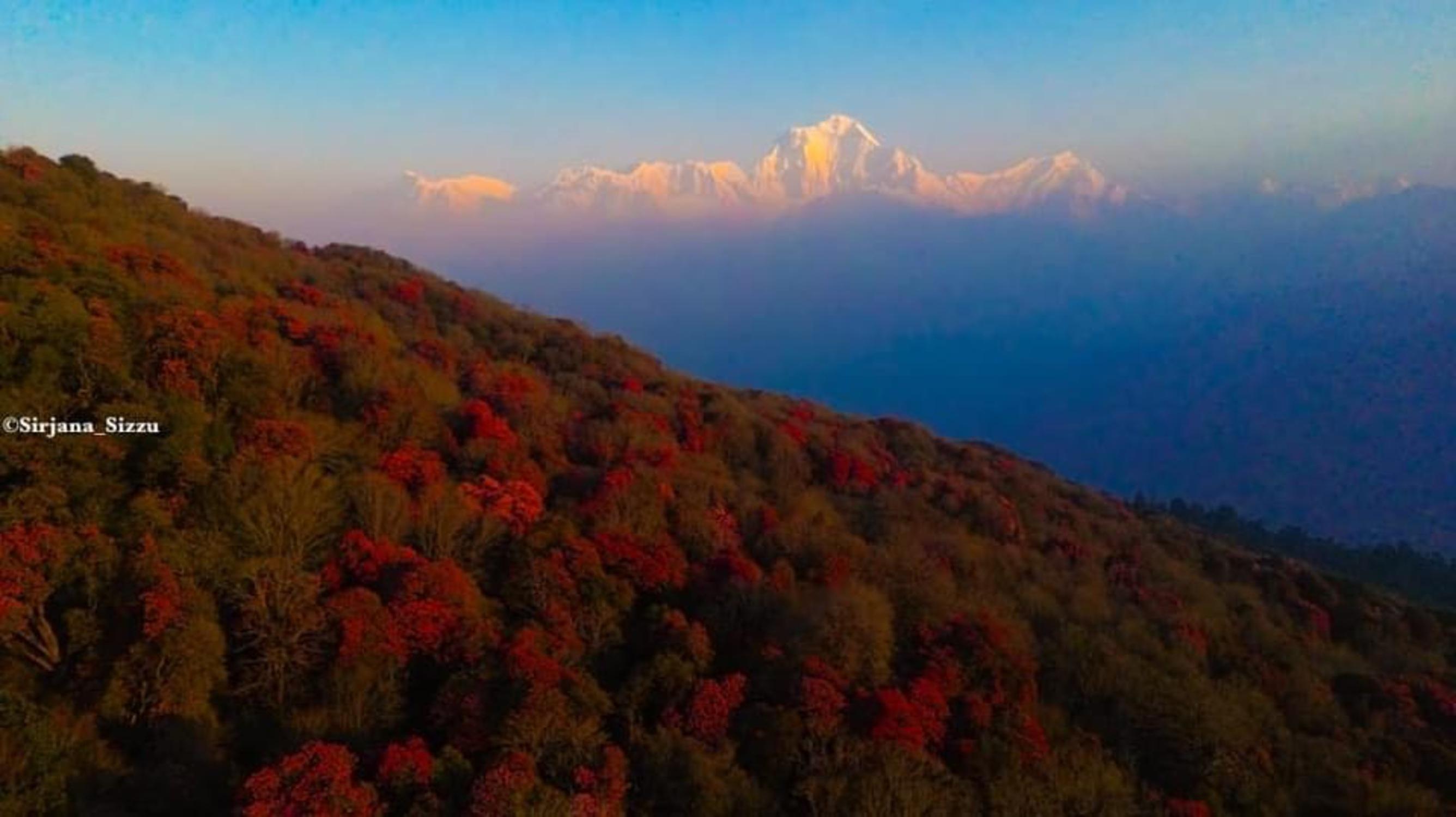 Pokhara: 7-Day Annapurna Base Camp Via PoonHill & Hot Spring 3