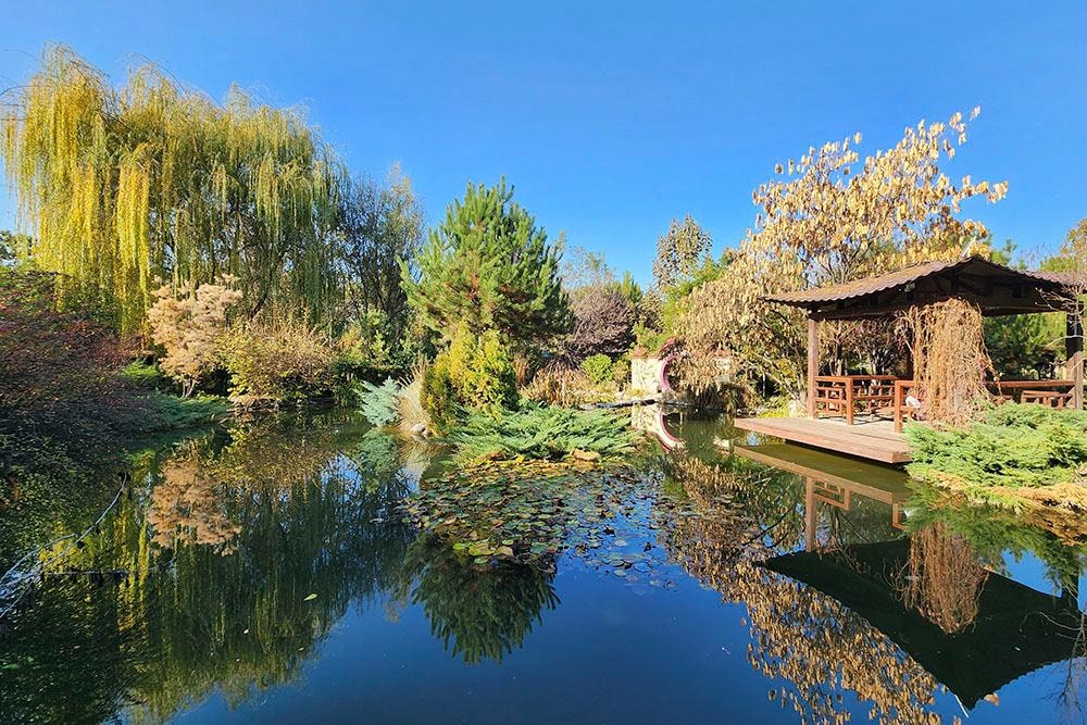 From Tashkent: Chimgan Mountains & Winery Day Trip — guided tour in Tashkent