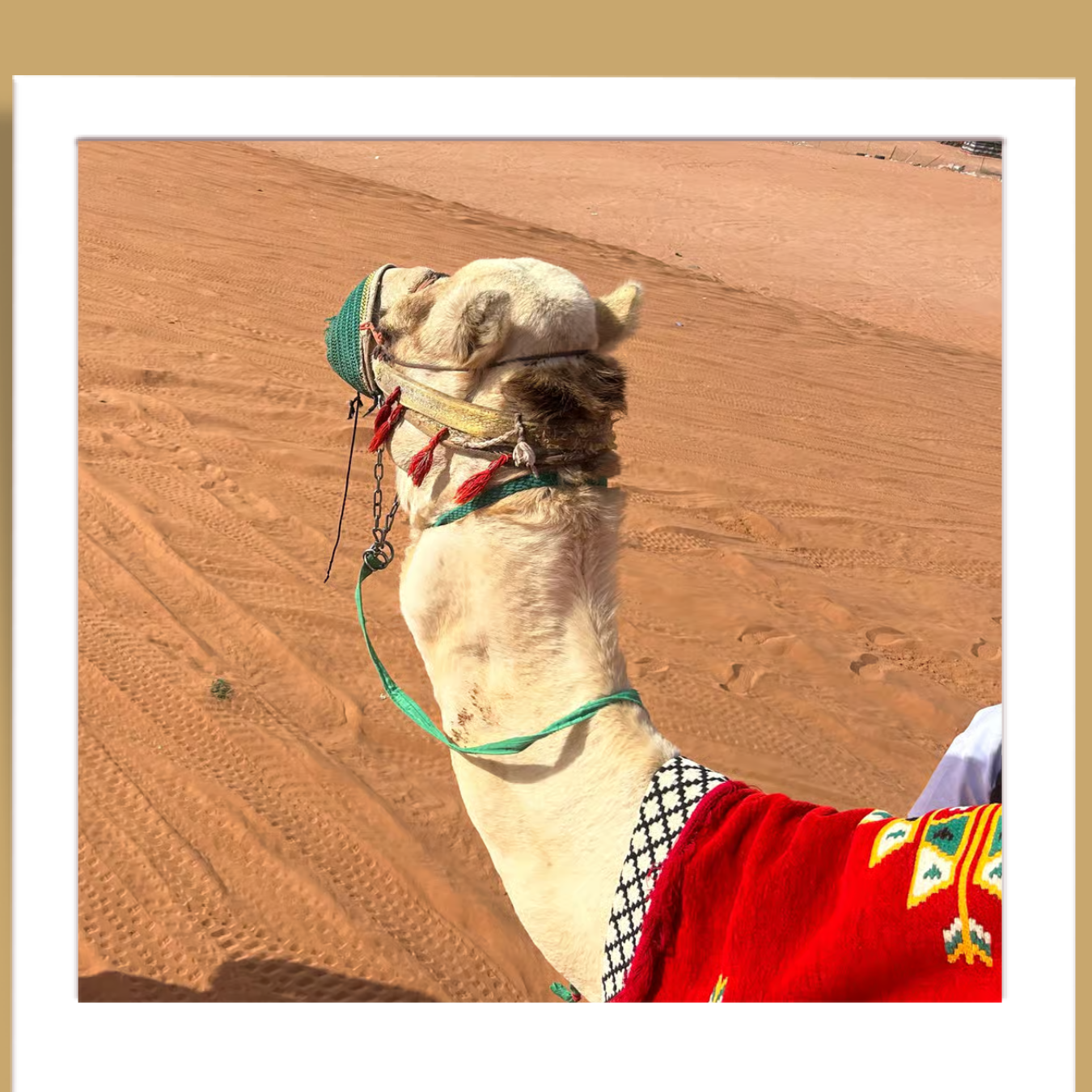 Riyadh : Sand Dune Desert Camel Ride + ATV ( Guide Bike ) 2