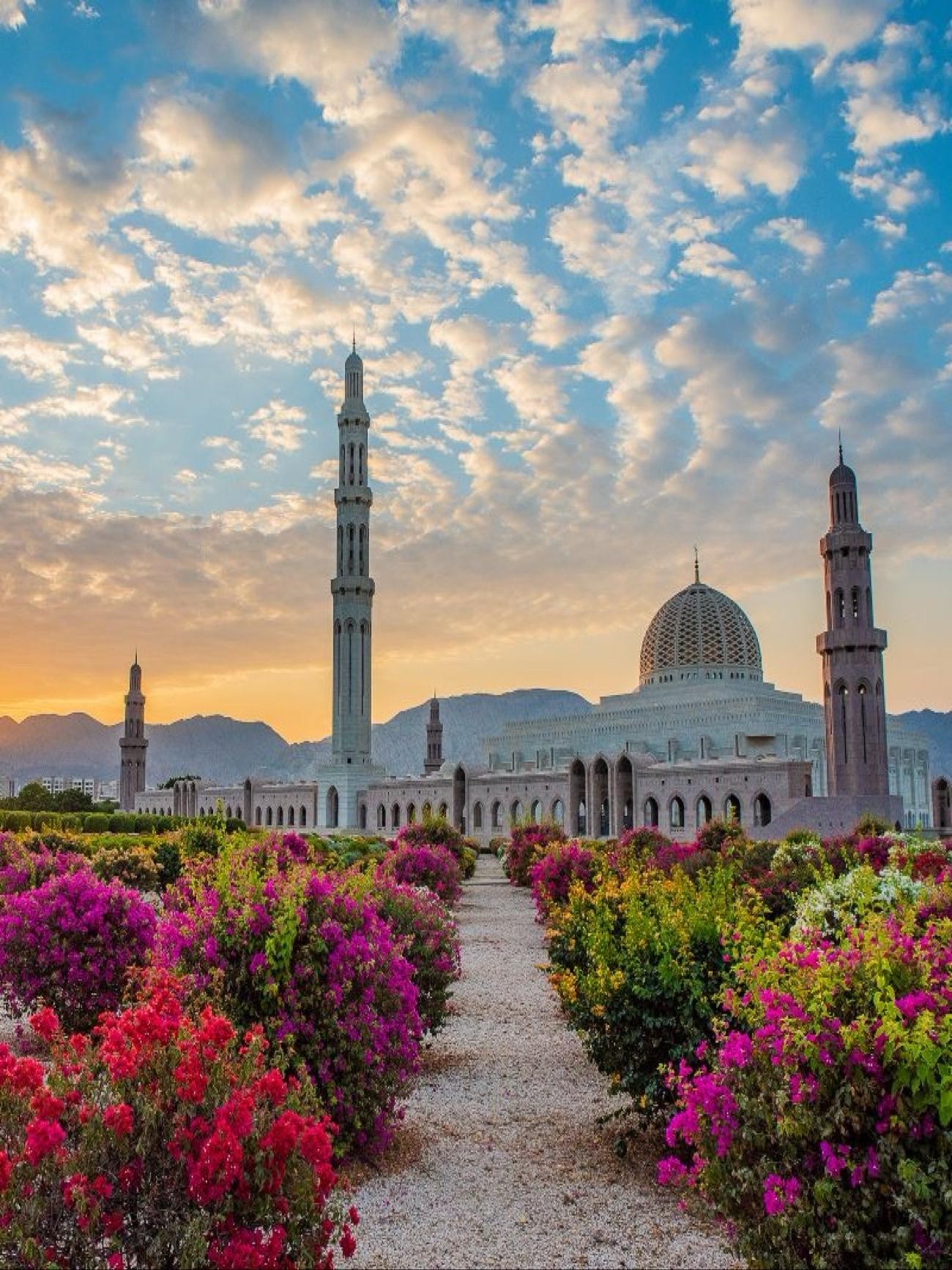 Muscat: Group Guided City Tour and Pickup-drop off 2