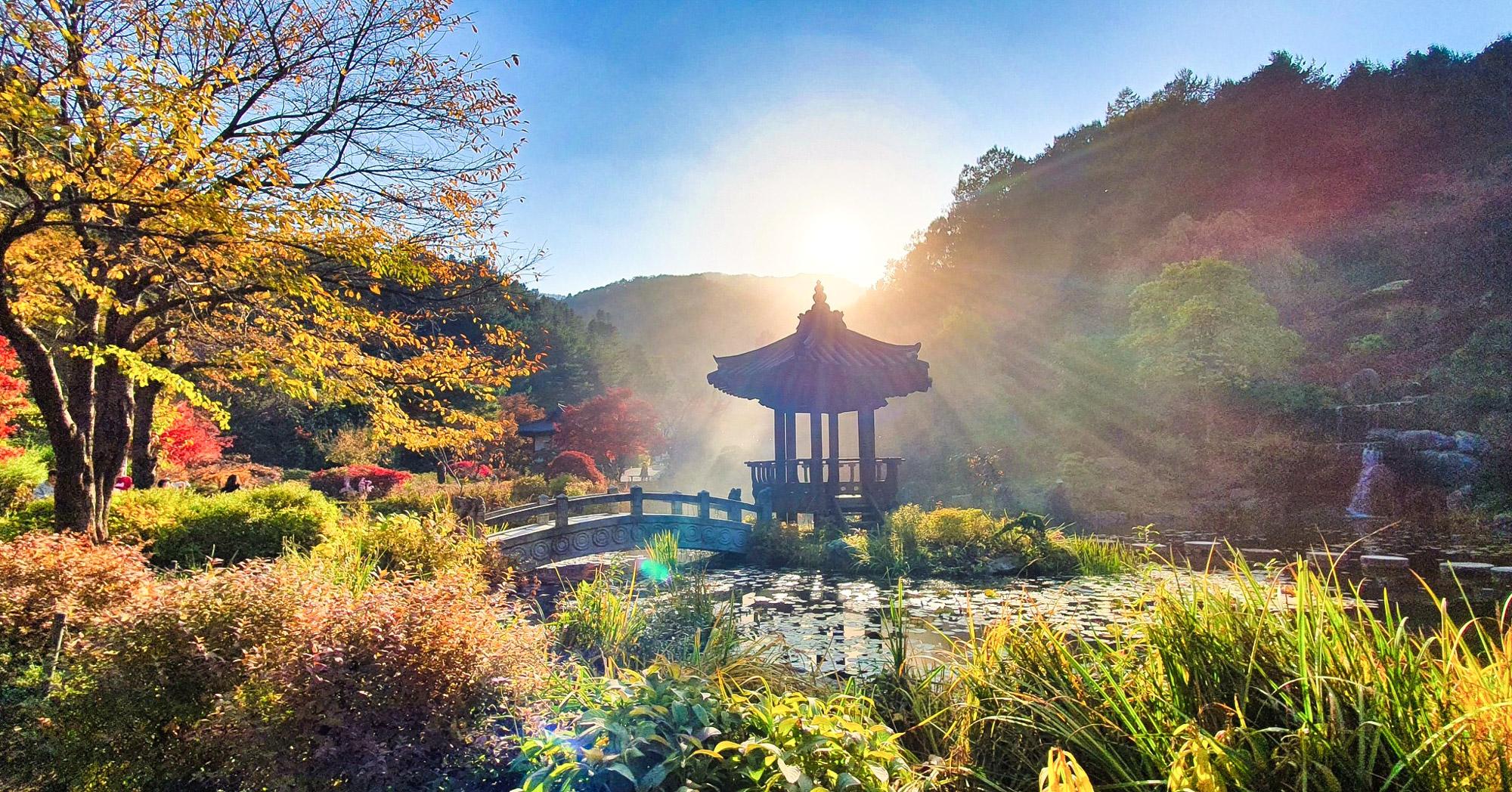 From Seoul: Suburbs 9hr Car Charter Tour with English Driver