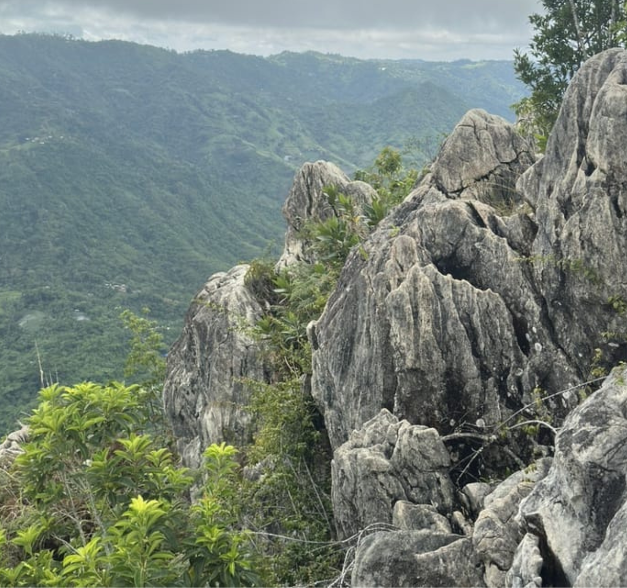 Cebu: Balamban Uphill and Zipline Adventure