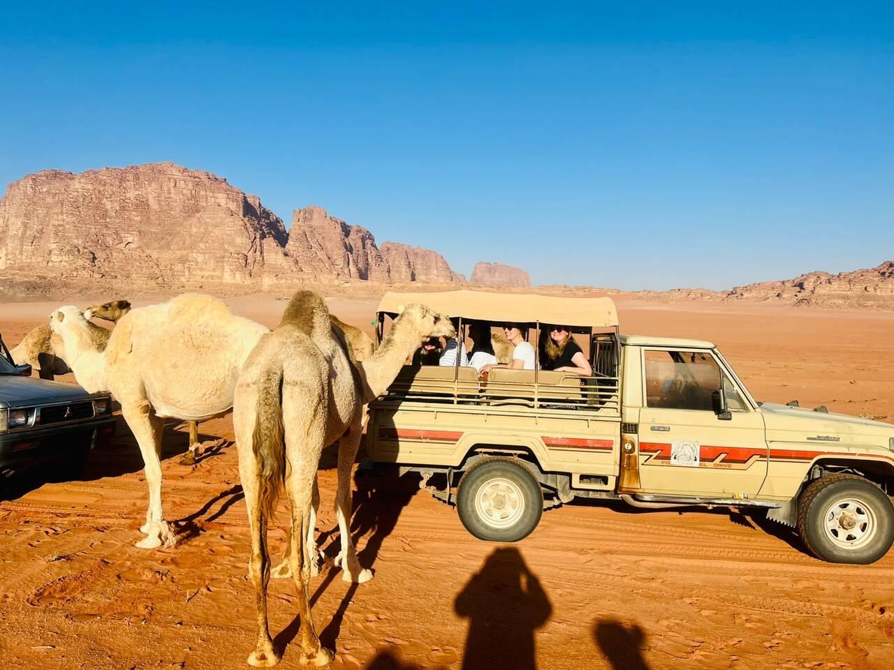 Wadi Rum: Jeep Tour, Sandboarding, and Overnight Camp 3