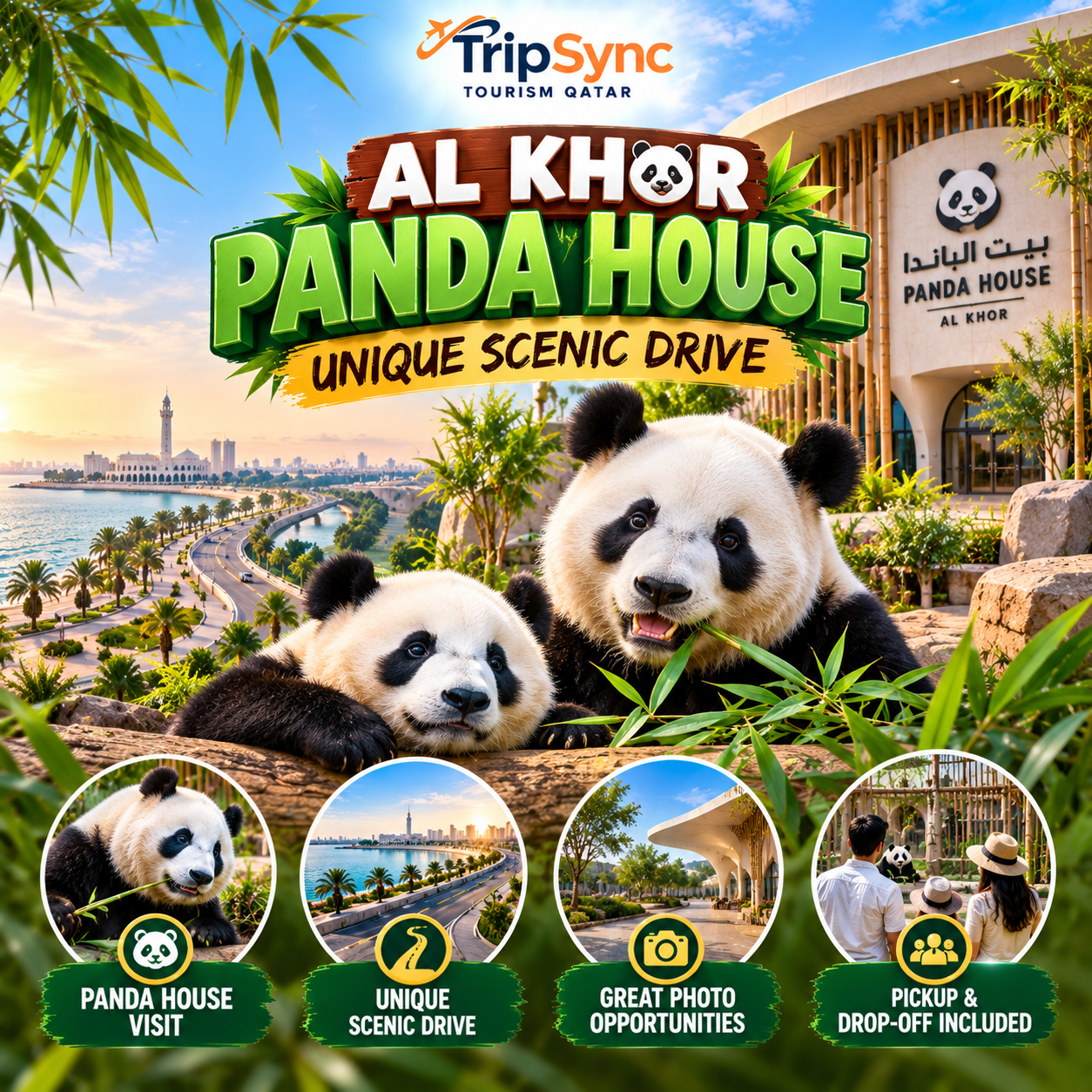 Doha: Al Khor Panda House Tour with Scenic Drive & Pickup