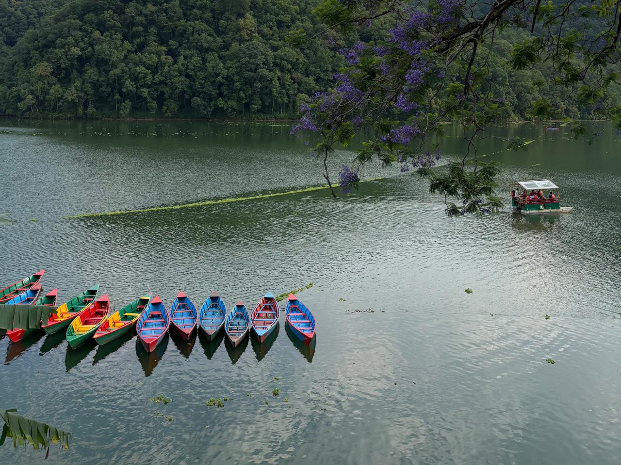 Pokhara: Fullday sightseen Sarangkot, Peace pagoda...... 2