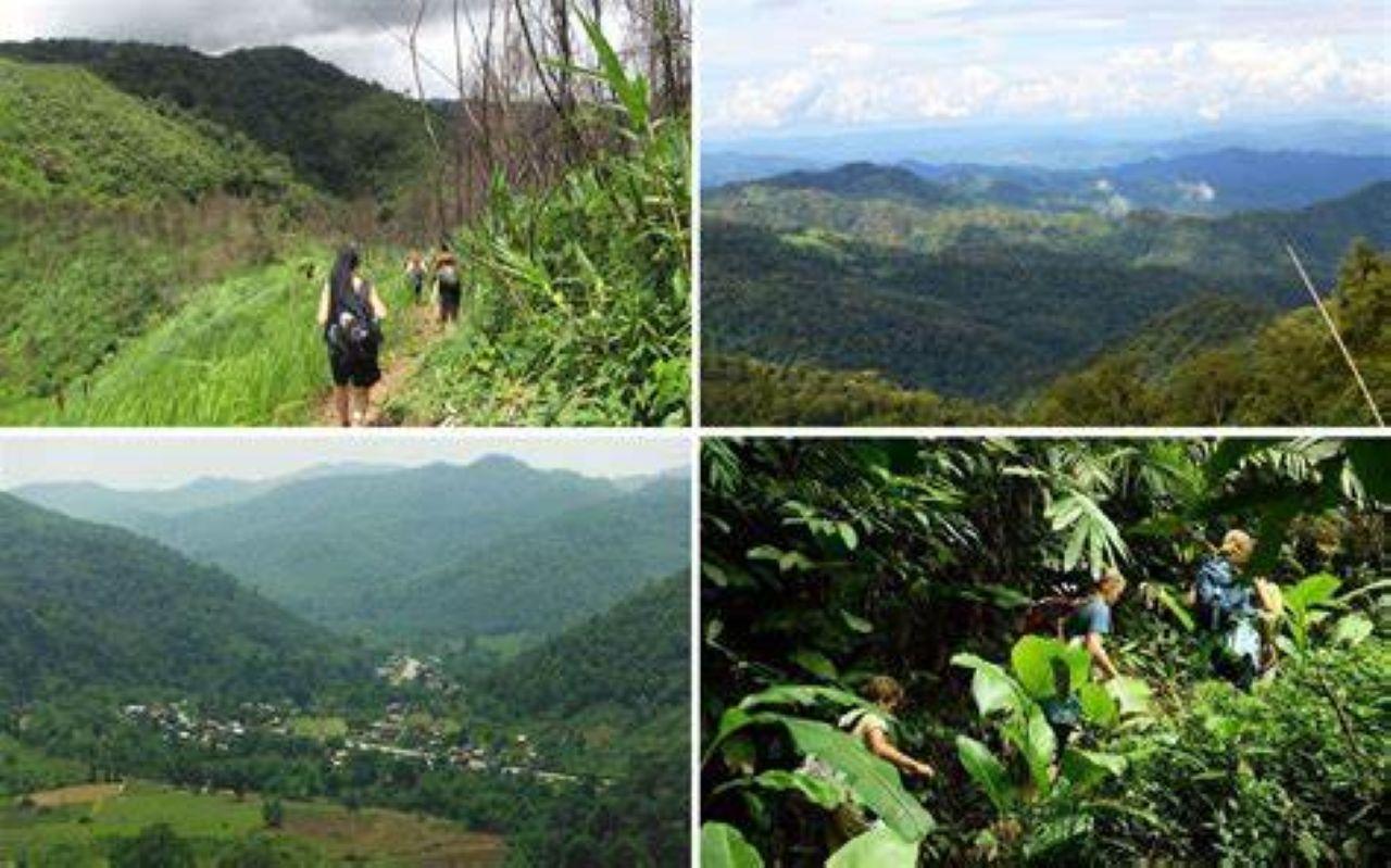 From Luang Prabang: Private Luang Namtha Hill Tribe Tour 3