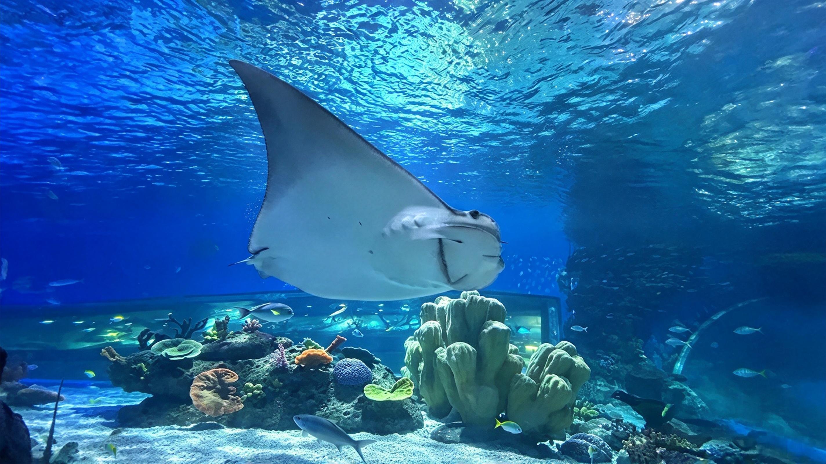 Manila Ocean Park: Tour with an Underwater Tunnel Walk 2