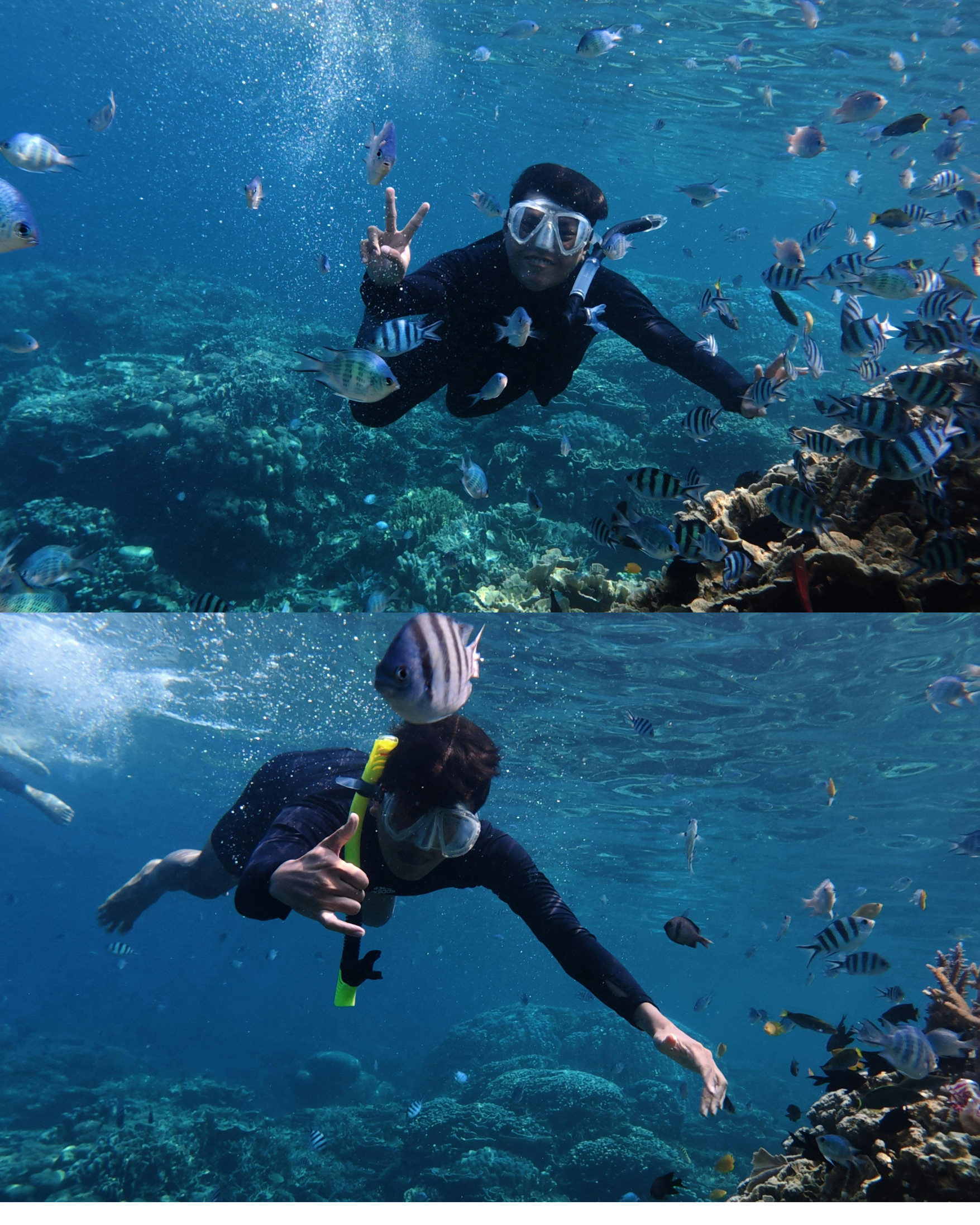 Cebu: Jet Ski Rental Experience & Snorkeling Activity 3