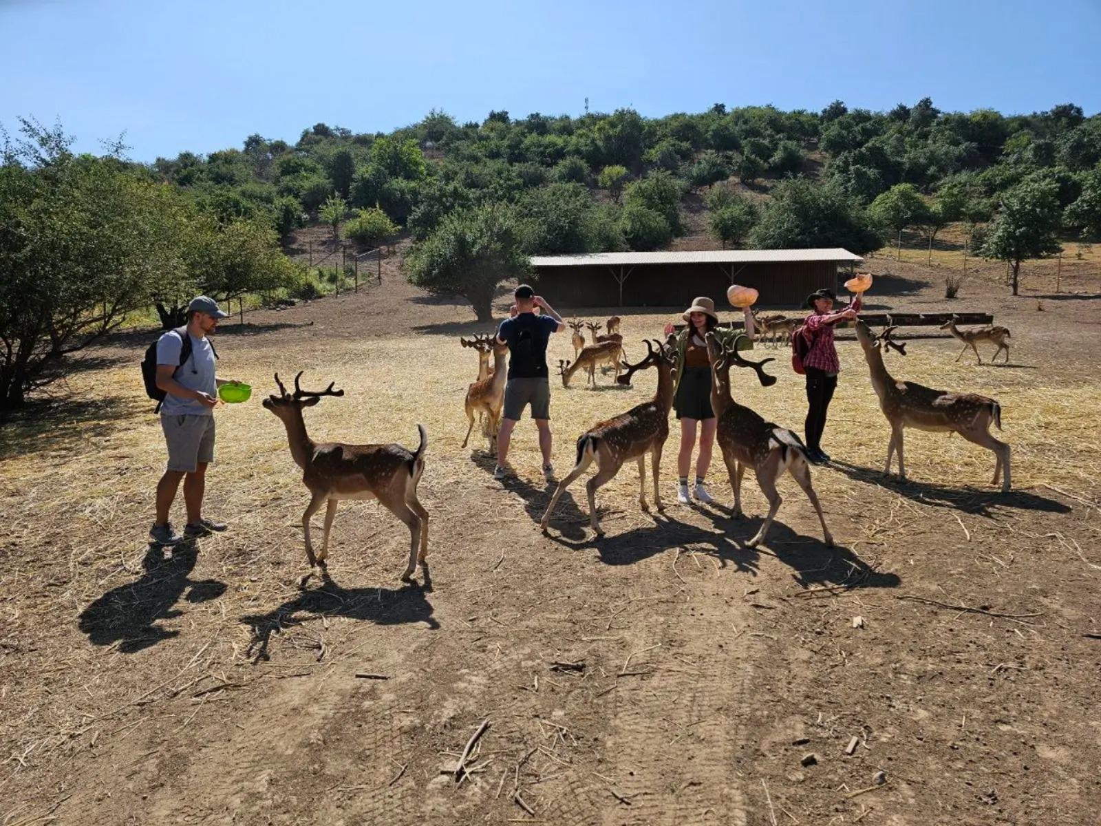 Explore Amirsoy Mountains & Charvak Lake from Tashkent 2