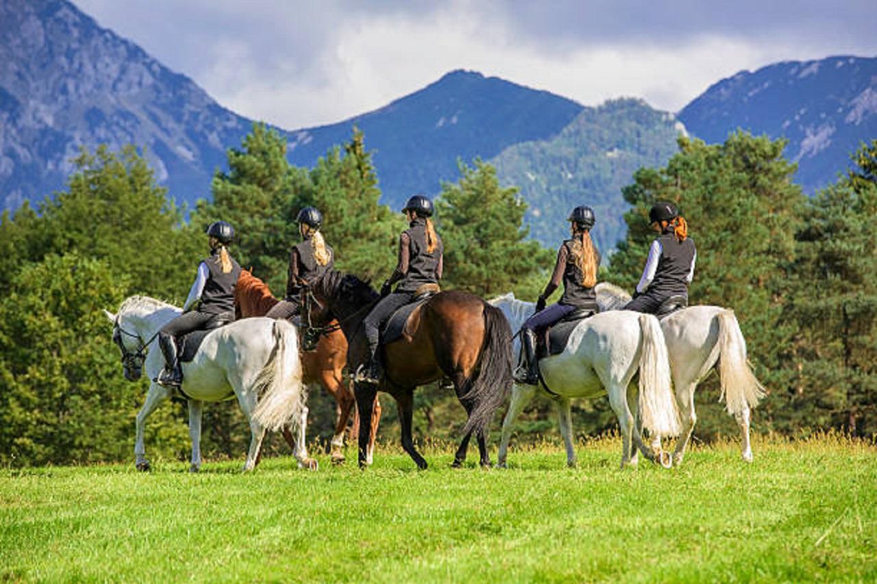 Pokhara: Horseback Riding Adventure with Hotel Pickup 2