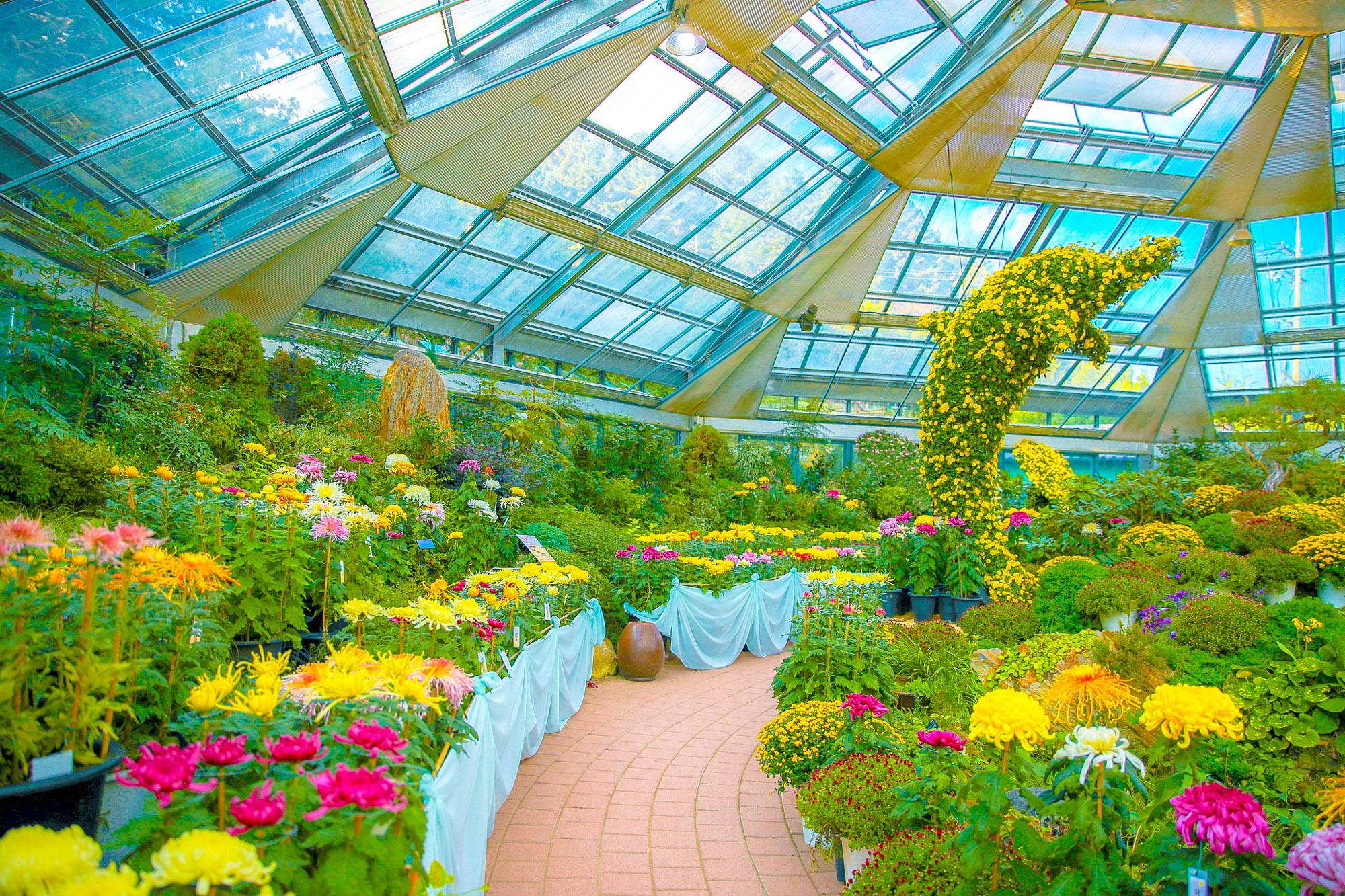 From Seoul: Suburbs 9hr Car Charter Tour with English Driver 2