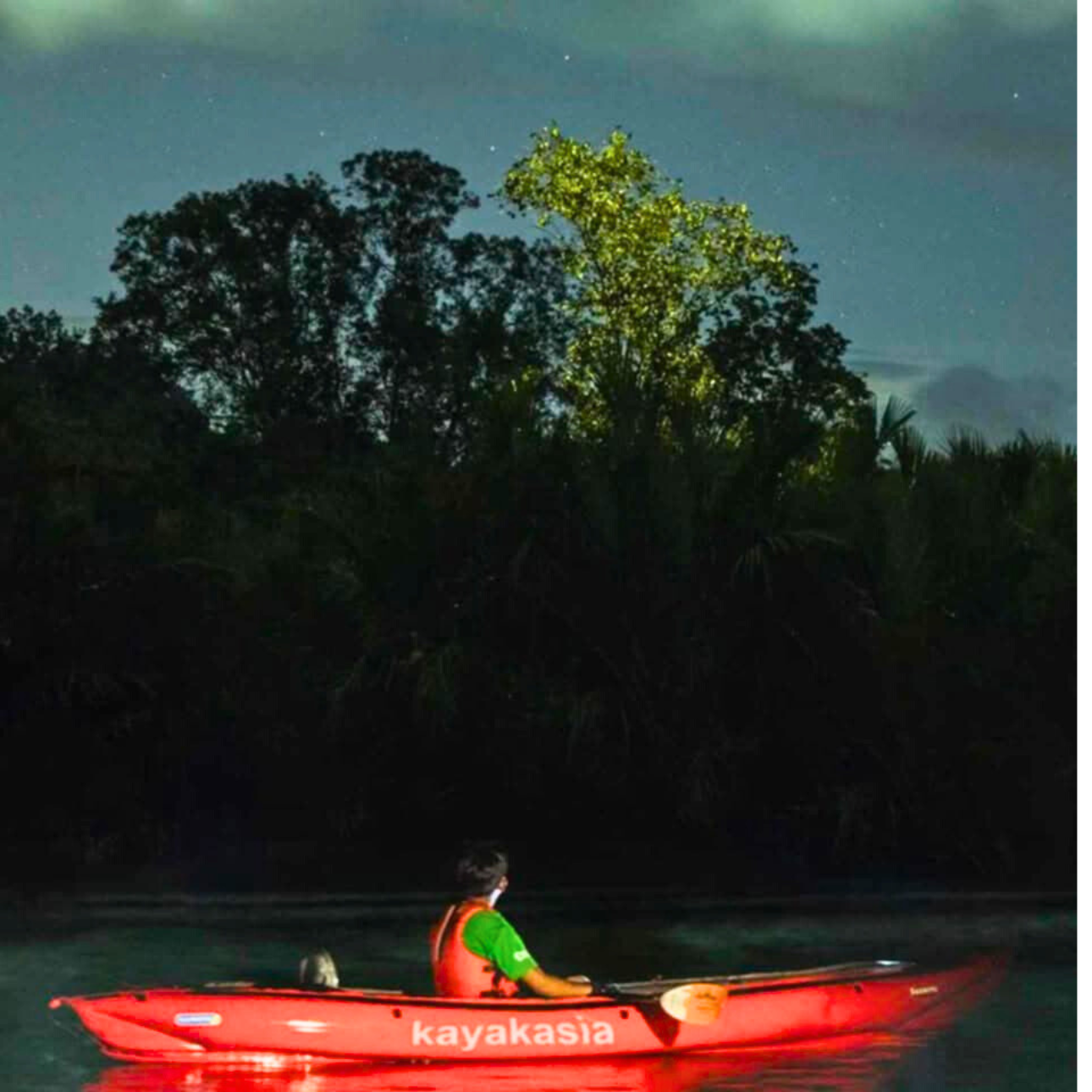 Bohol: Abatan River Firefly Kayaking Eco-Tour 2