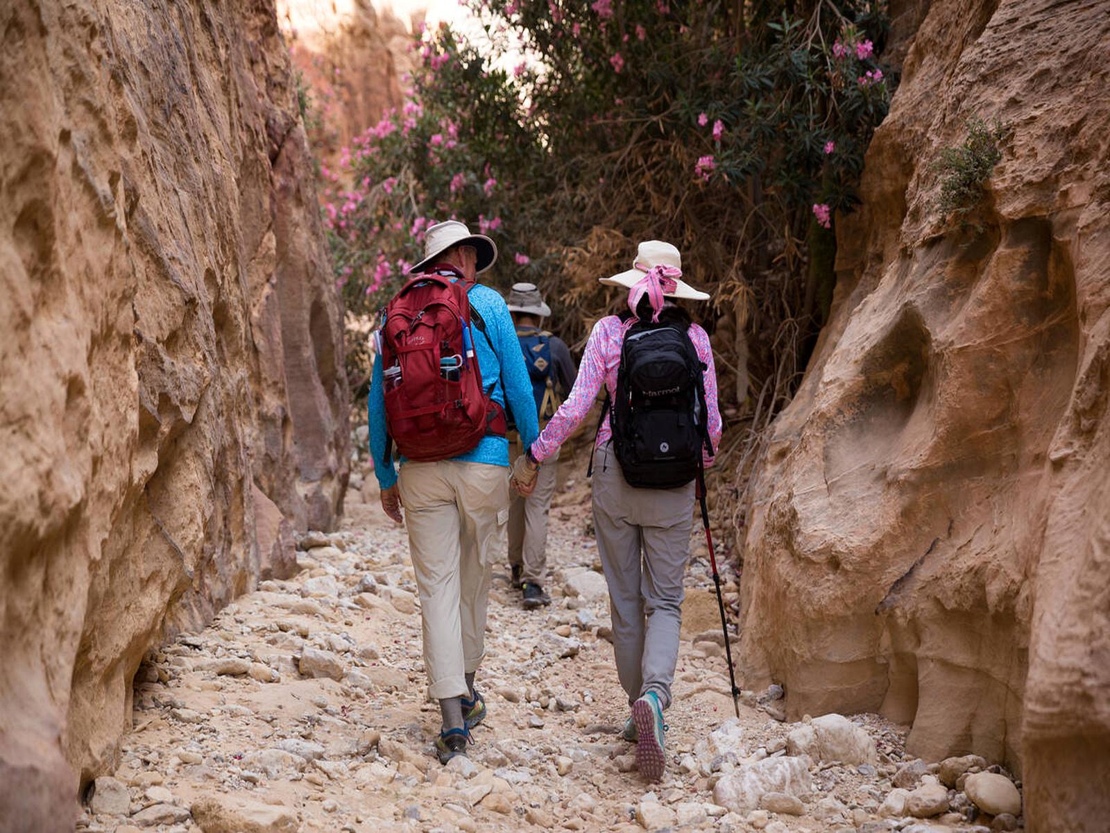Wadi Rum: Half-Day Trek with Bedouin Guide & Lunch
