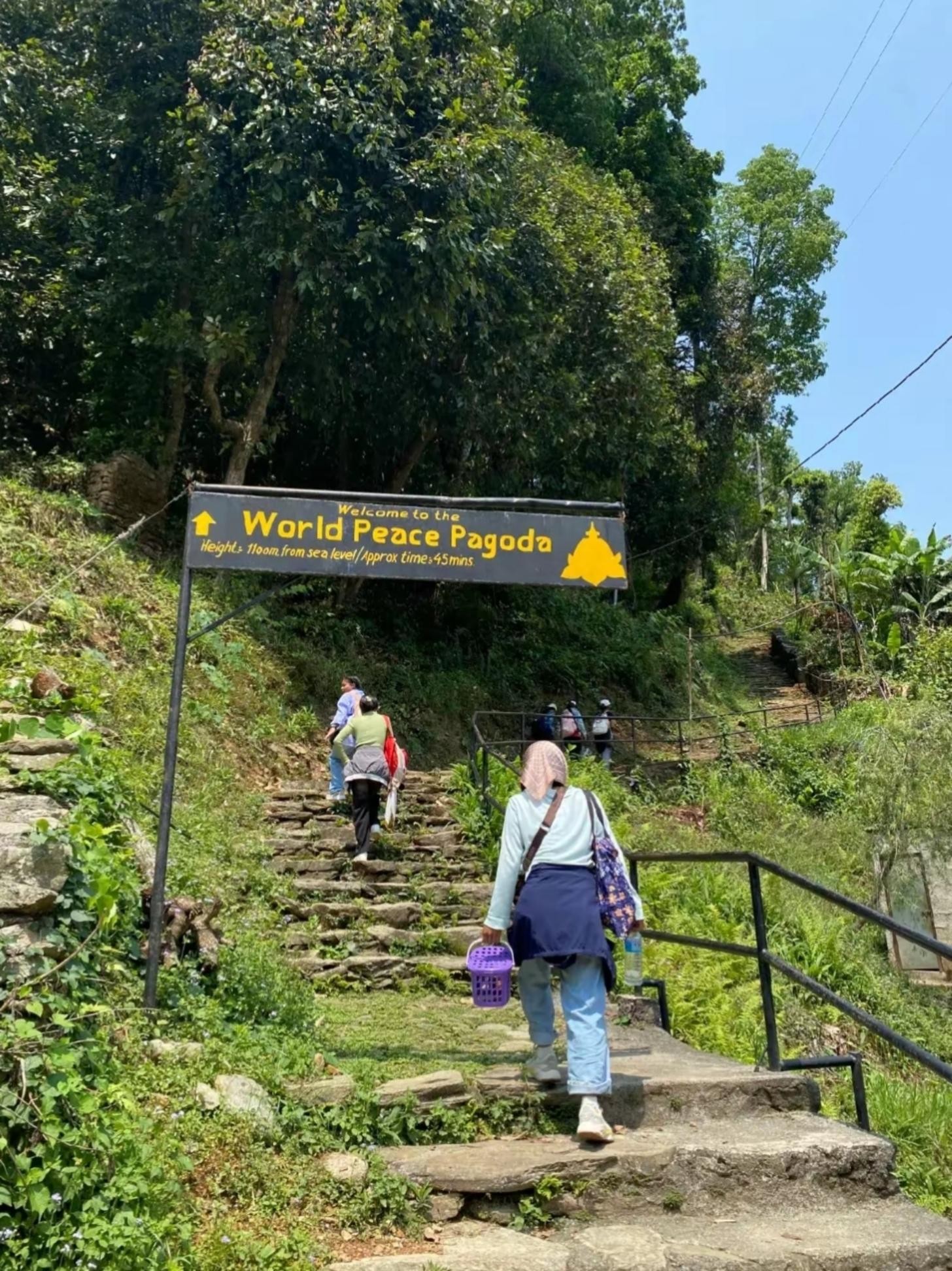 Pokhara: World Peace Pagoda & Pumdikot Day Hike with Guide 3