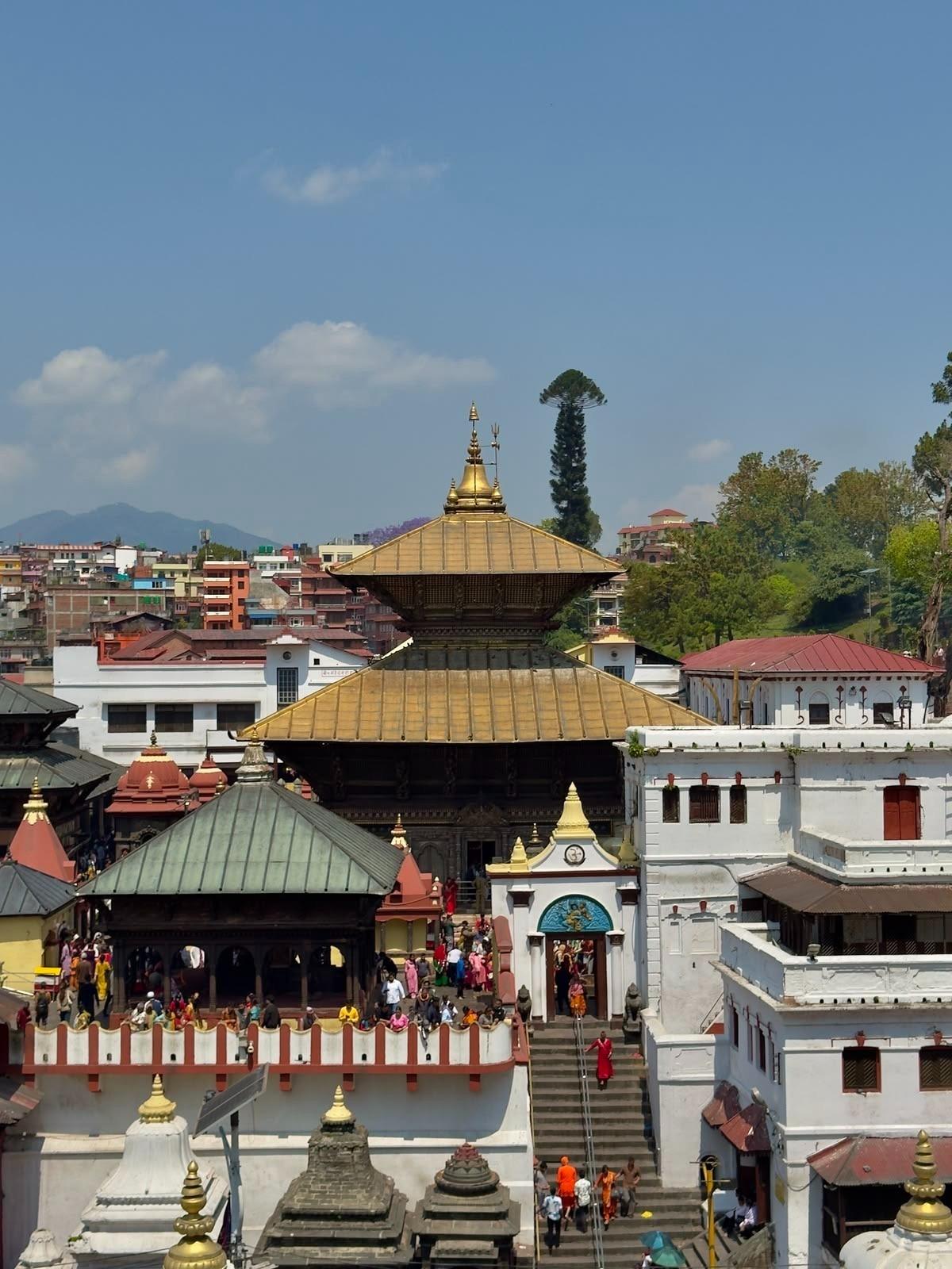 From Kathmandu: 9-Day Nepal Tour with Chitwan & Pokhara 2