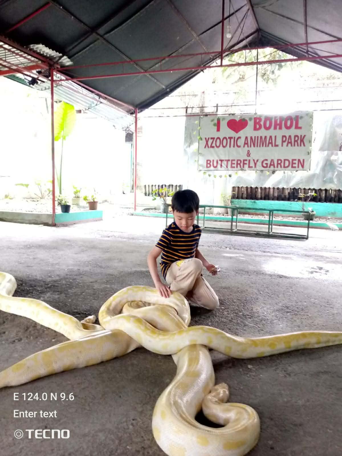 Bohol: Countryside & Island Tour Across 2 Days 3