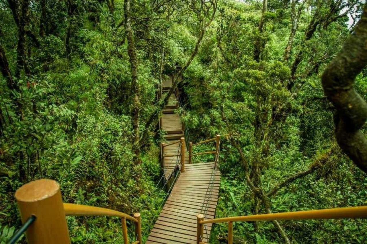 Ipoh: Cameron Highlands Day Trip with Lunch 2