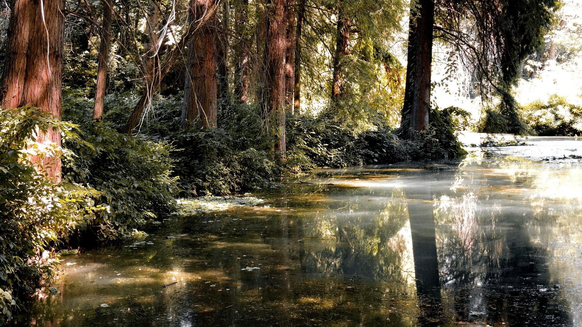 Tashkent: Parks and Nature Walking Tour with Guide 2