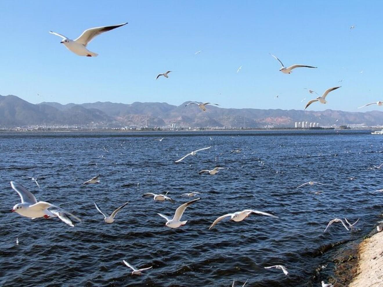 Shanghai: 4-Day Yunnan Discovery Tour with Flights 3