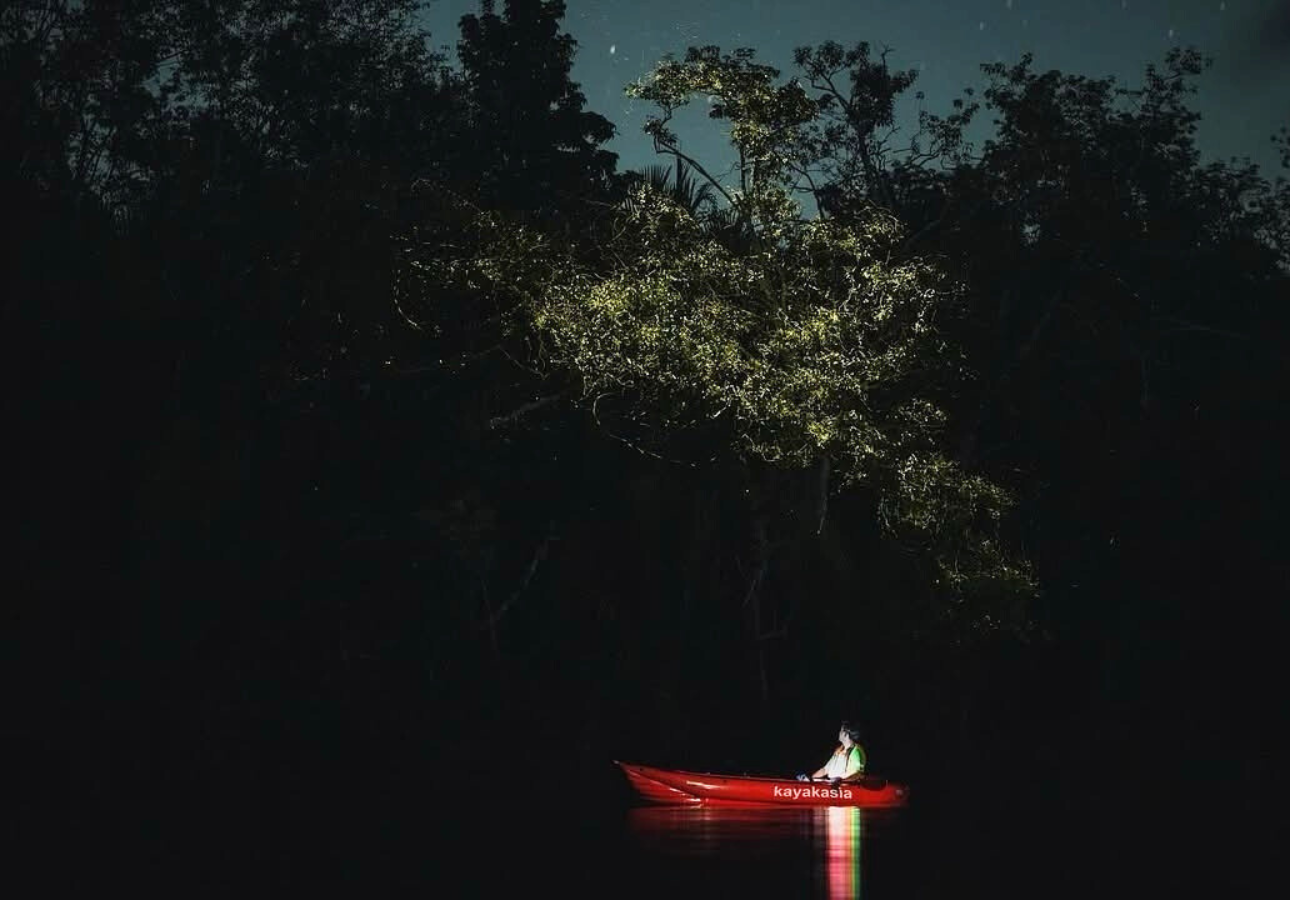 Bohol: Abatan River Firefly Kayaking Eco-Tour