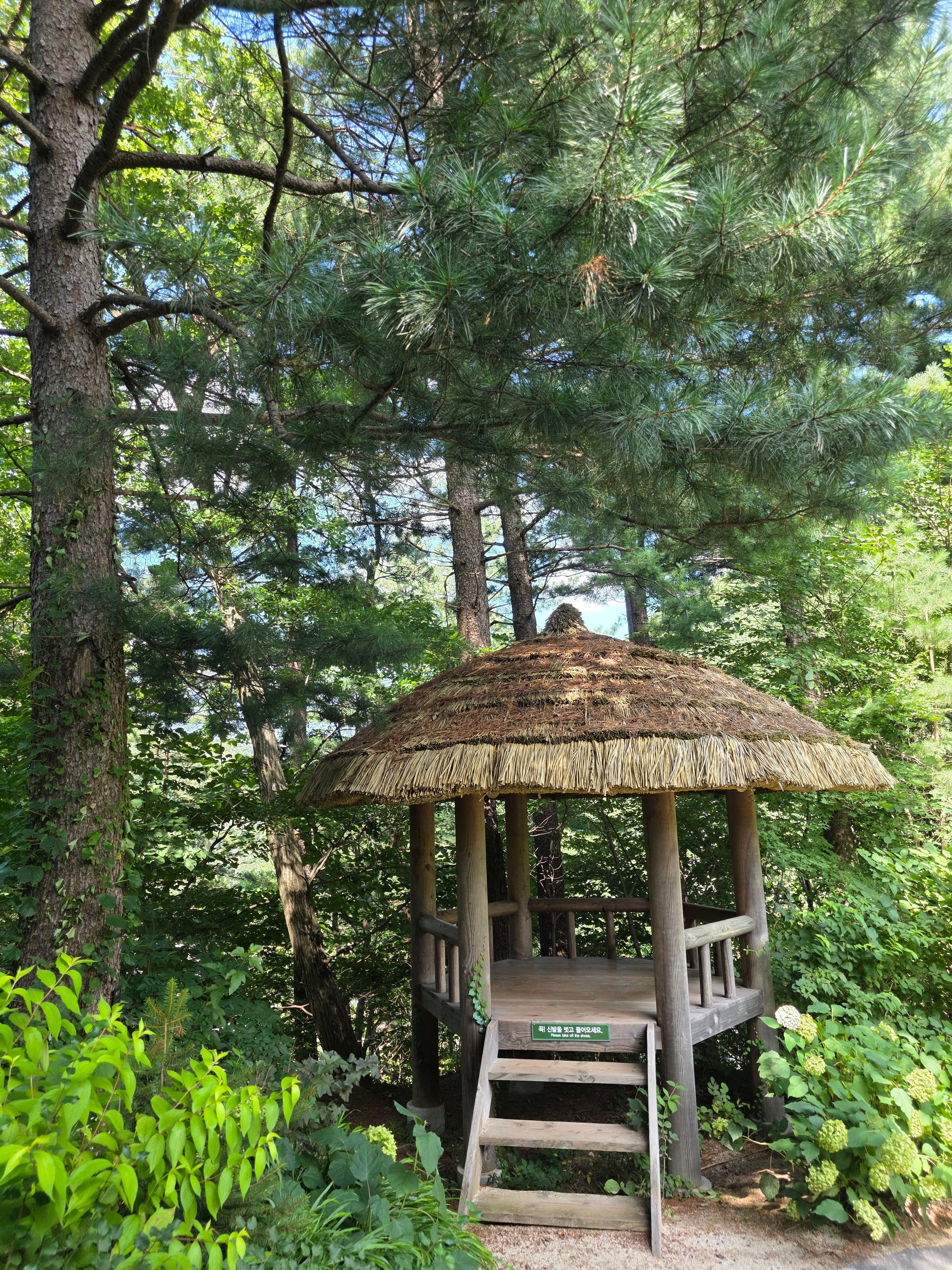 From Seoul: Garden of Morning Calm Day Tour by train