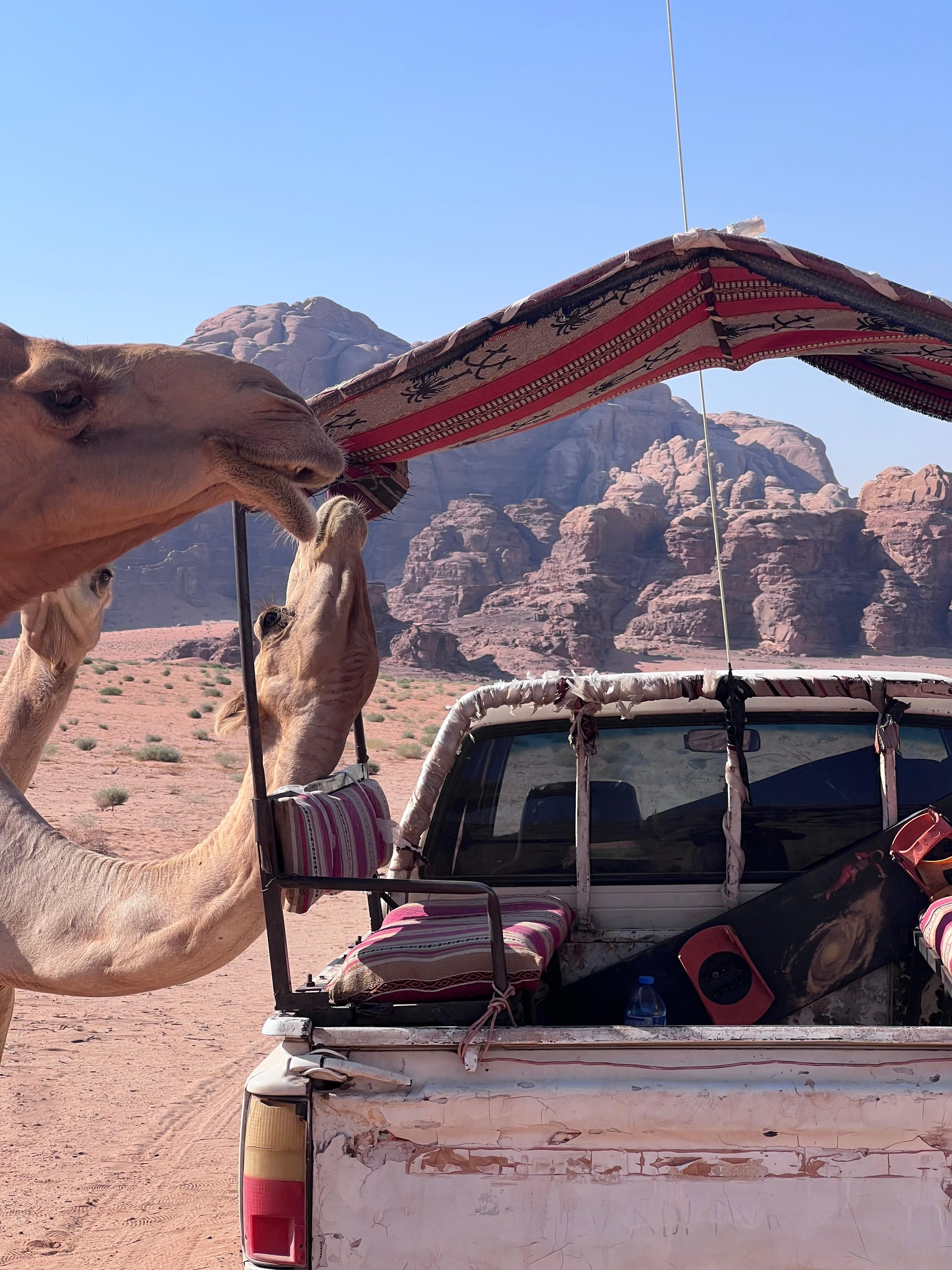 Wadi Rum: 2-Day Jeep, Hike & Sleeping under the stars 3