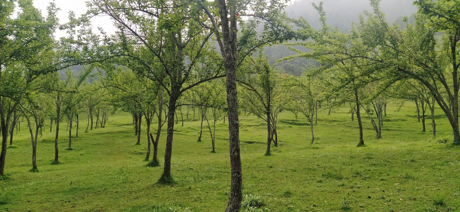 From Kathmandu: 4-Day Chitwan National Park & Chitlang Tour 3
