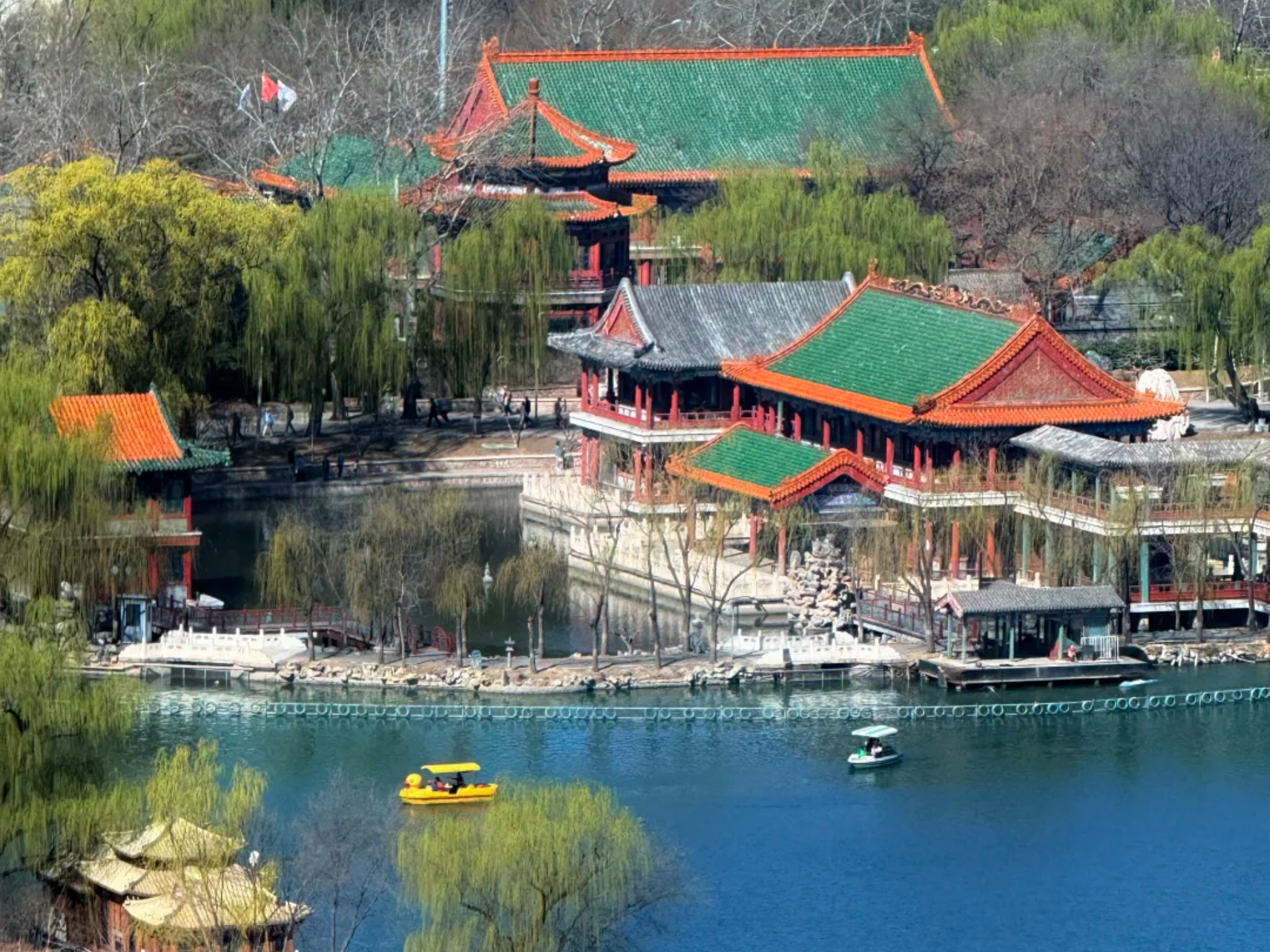 Beijing Slow Morning: Breakfast, Qigong, Ping Pong in a Park 2